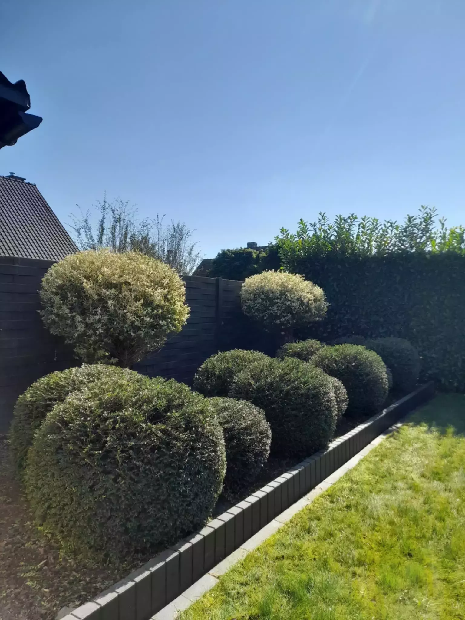 Vormsnoei in een klassieke tuin – foto 2