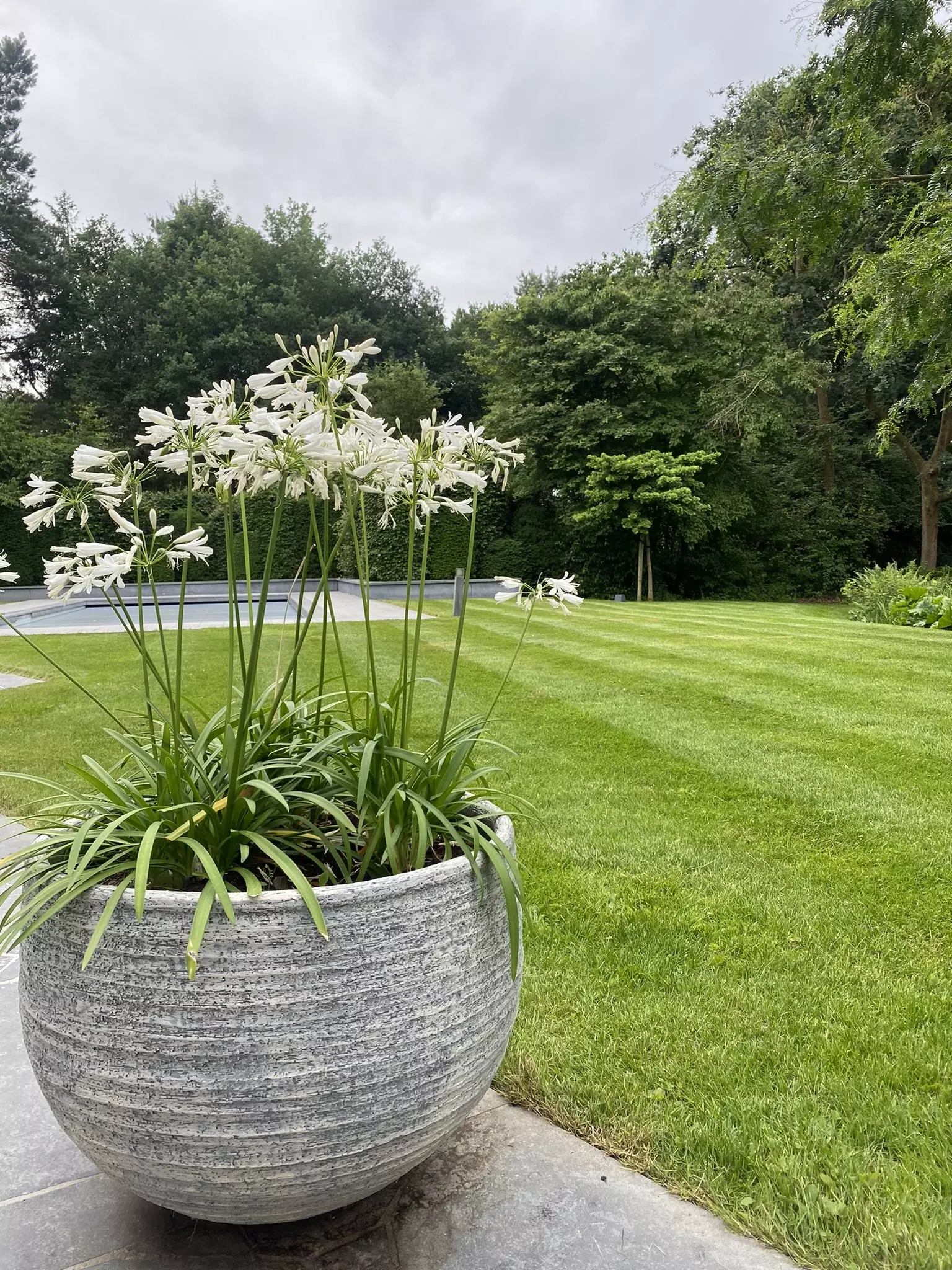 Tuinderij bv – foto 5