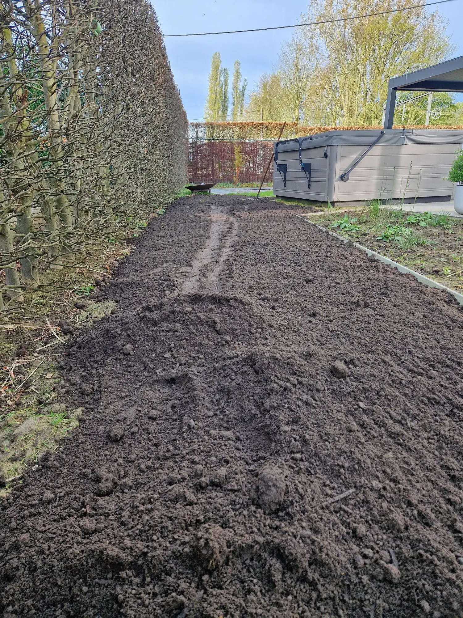 Invoeren van tuincompost voor het verbeteren van de grond voor een gazonrenovatie – foto 1
