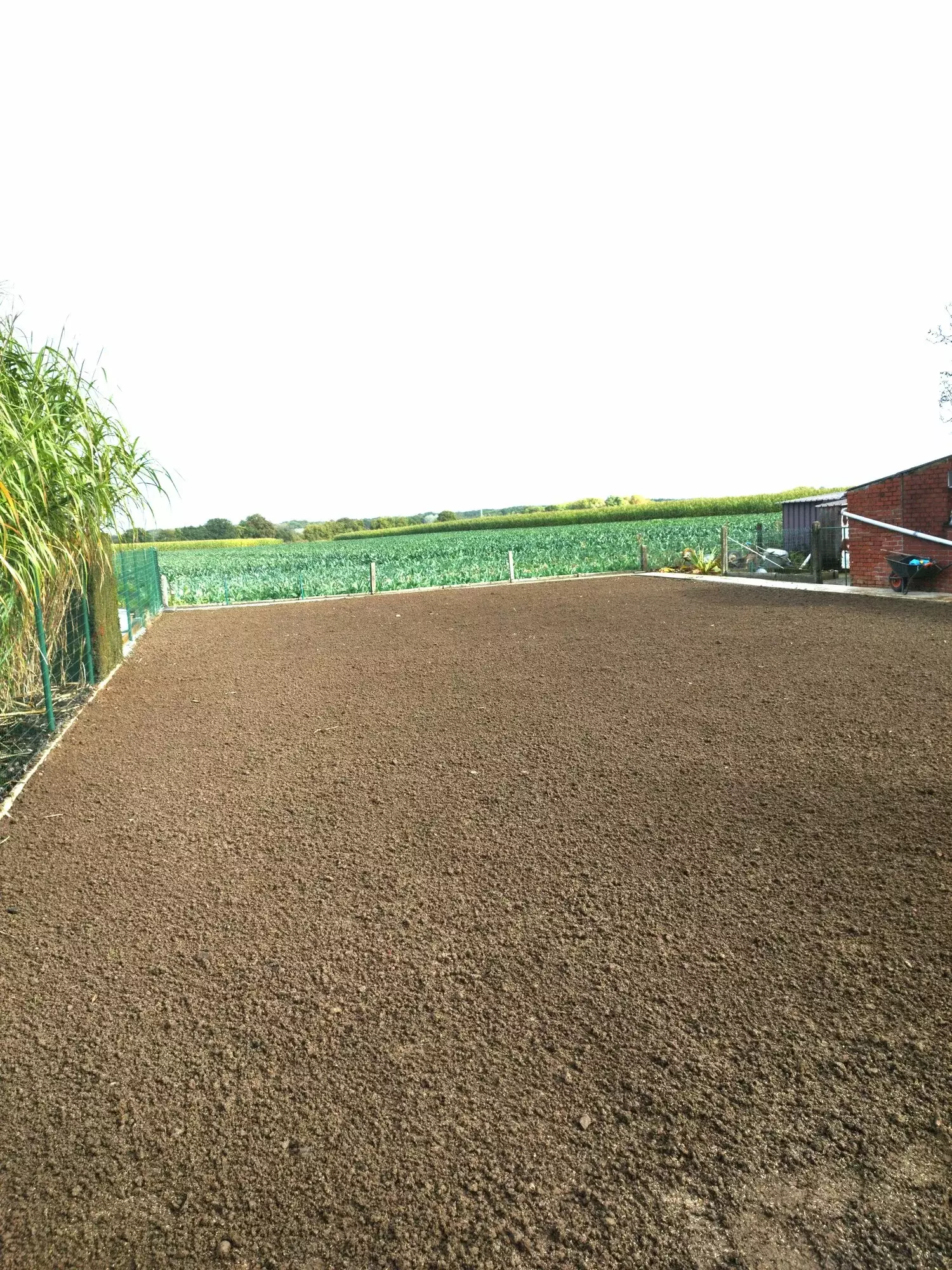 Gras zaaien – foto 1