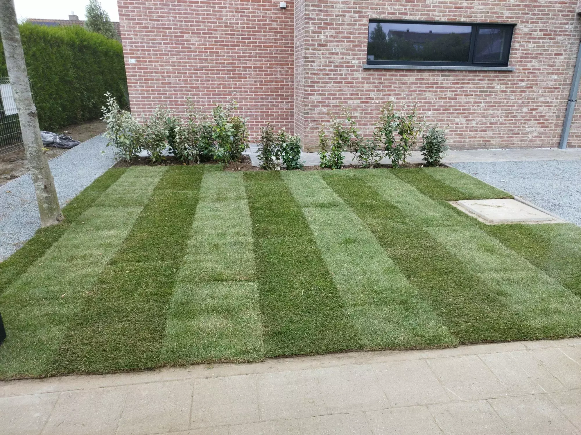 Gras zaaien – foto 5