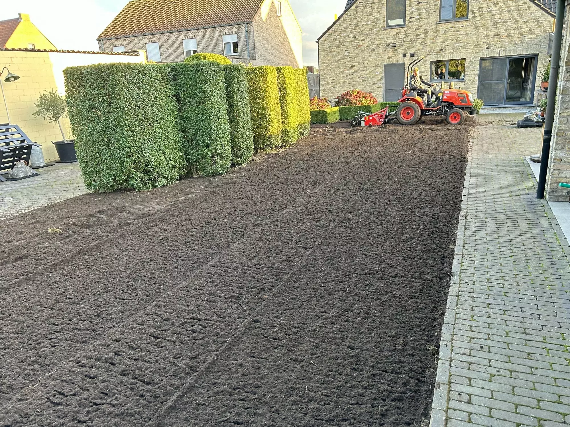 Aanleg van een nieuw gazon zonder gebruik te maken van grasmatten – foto 4