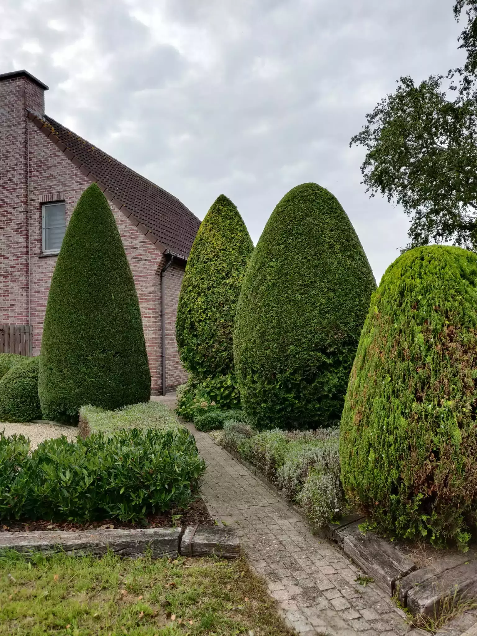 Aanleg terras – foto 4