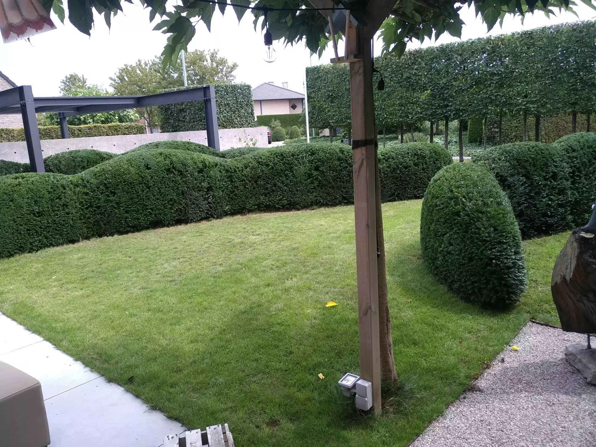Project 1 – foto 1