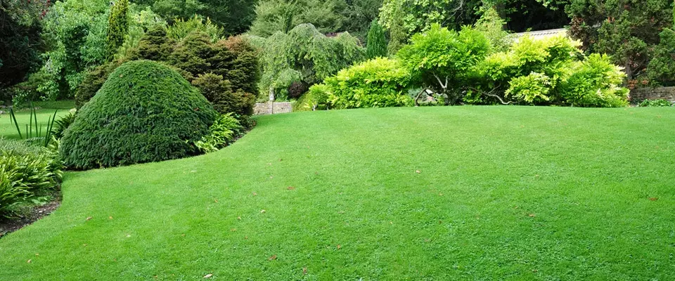 Tuin onderhoud 1 – foto 4