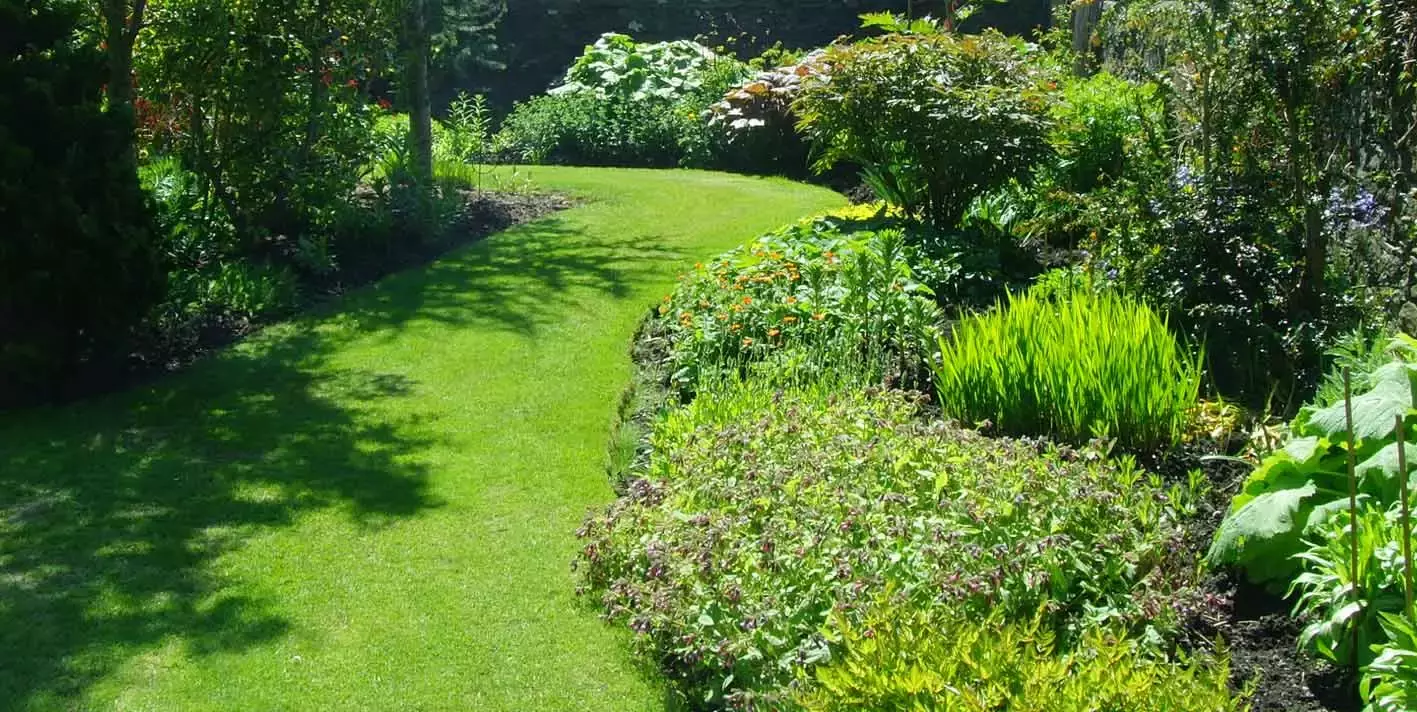 Tuin onderhoud 1 – foto 5