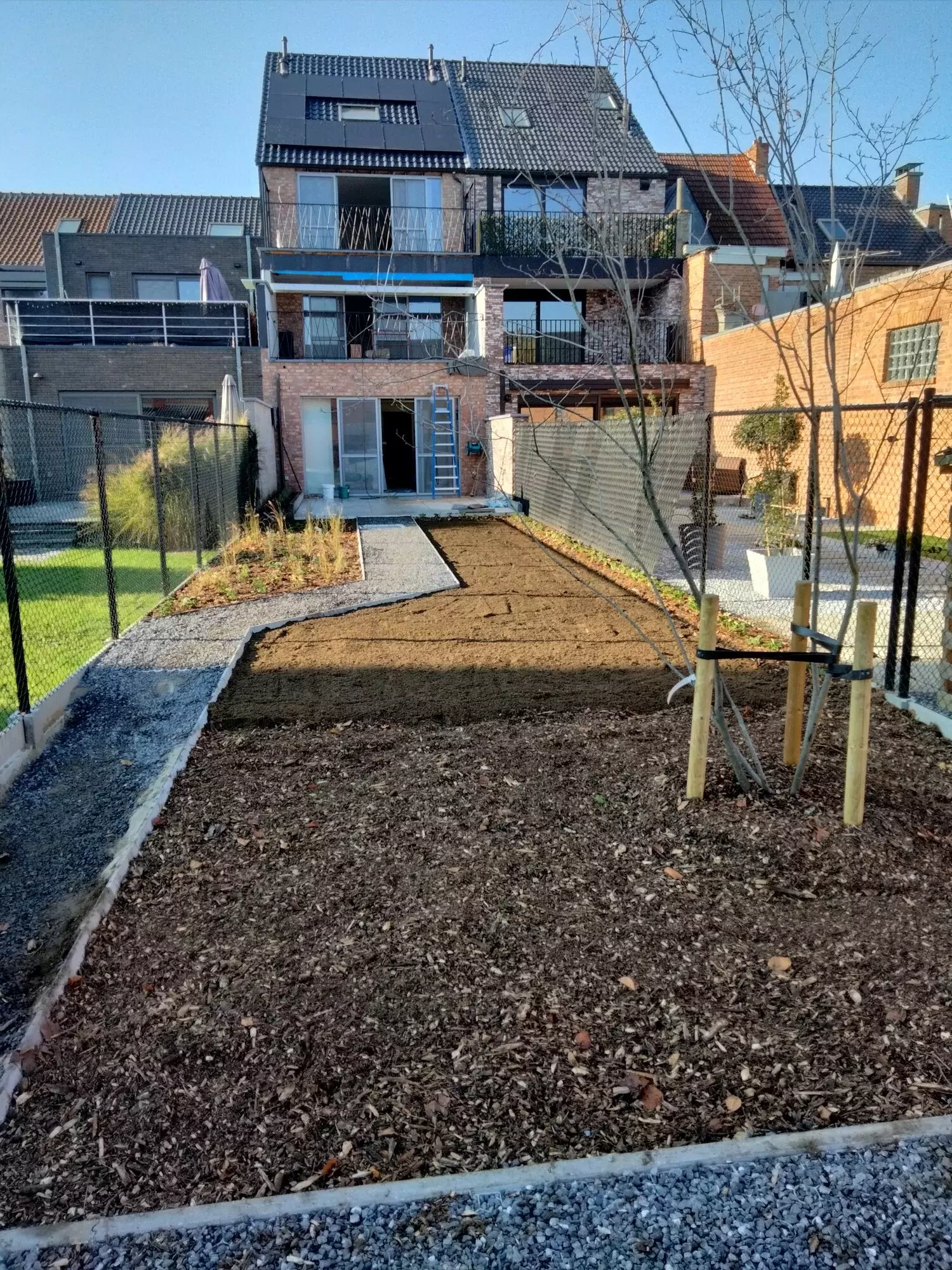 Standplaatsverbetering van kerselaar – foto 3