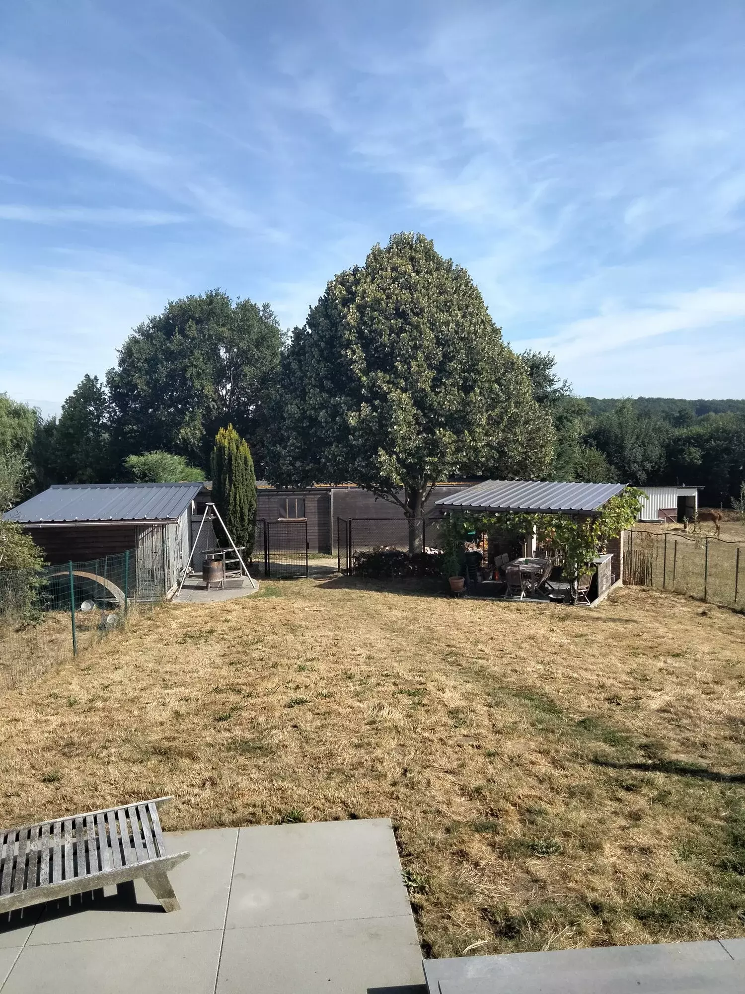 Standplaatsverbetering van kerselaar – foto 4