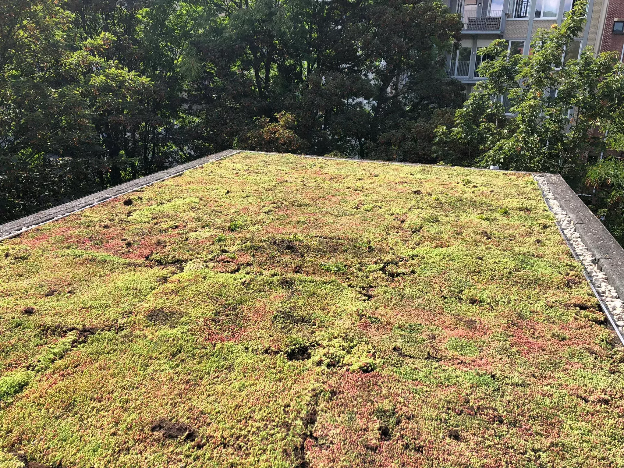 Stadstuin omgetoverd tot een paradijs met ruimte voor een eetplek (vijver valt net buiten beeld) – foto 2