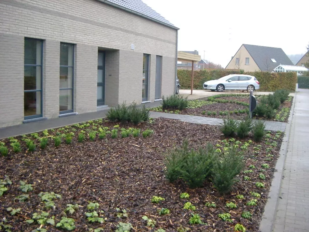 Xtra|vert tuin- en landschapsarchitectuur – foto 2