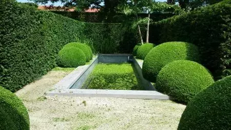 Zomertuin met buxus