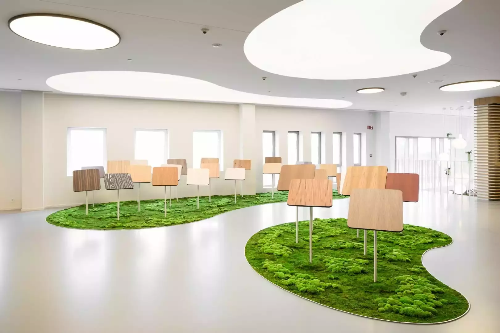 Any Green – foto 1