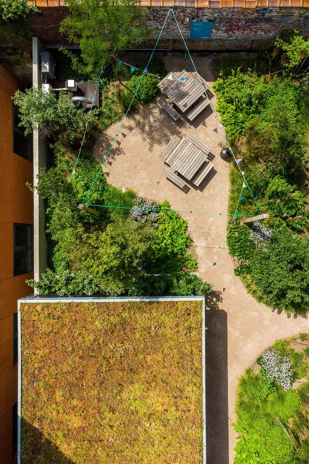 Terras waterdoorlatend? vergroeining? alles kan mits de voorzorgen, speciale substraten zorgen voor dit resultaat met – foto 2