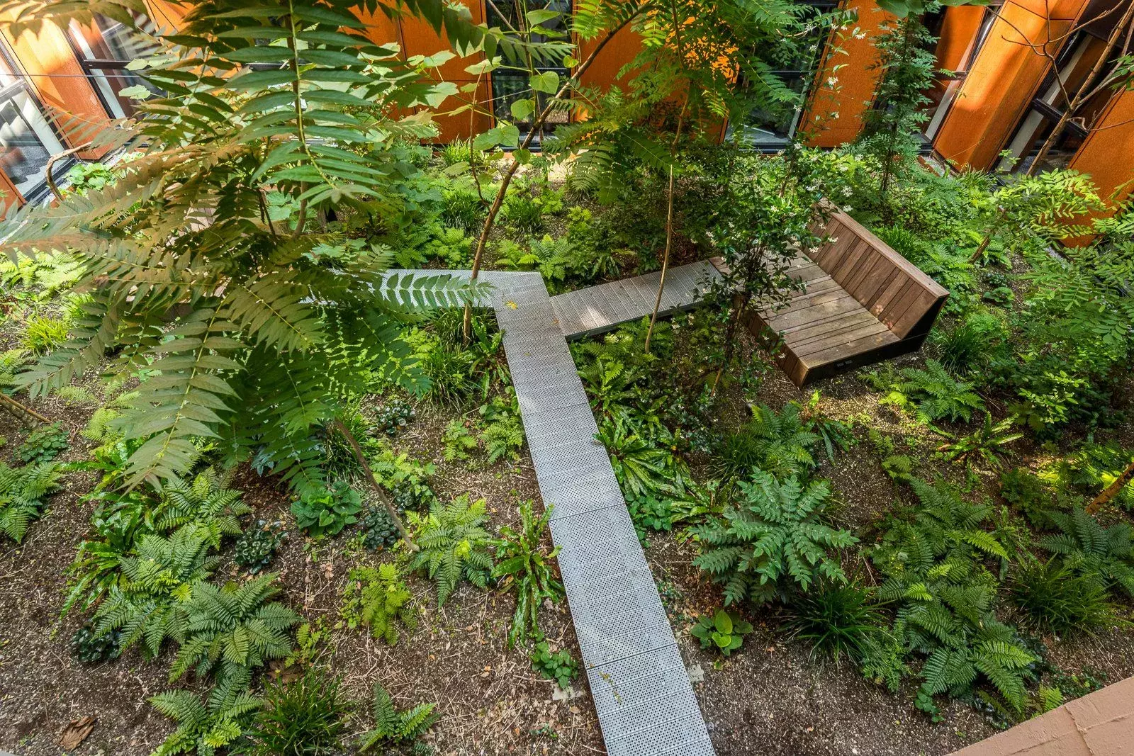 Terras waterdoorlatend? vergroeining? alles kan mits de voorzorgen, speciale substraten zorgen voor dit resultaat met – foto 3