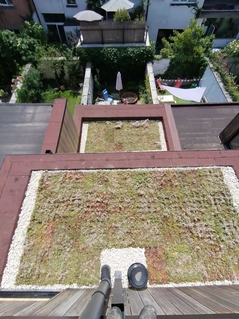 Een prairietuin is een combinatie van siergrassen en vaste planten, bijvoorbeeld met Echinacea, Stipa en Verbena – foto 5