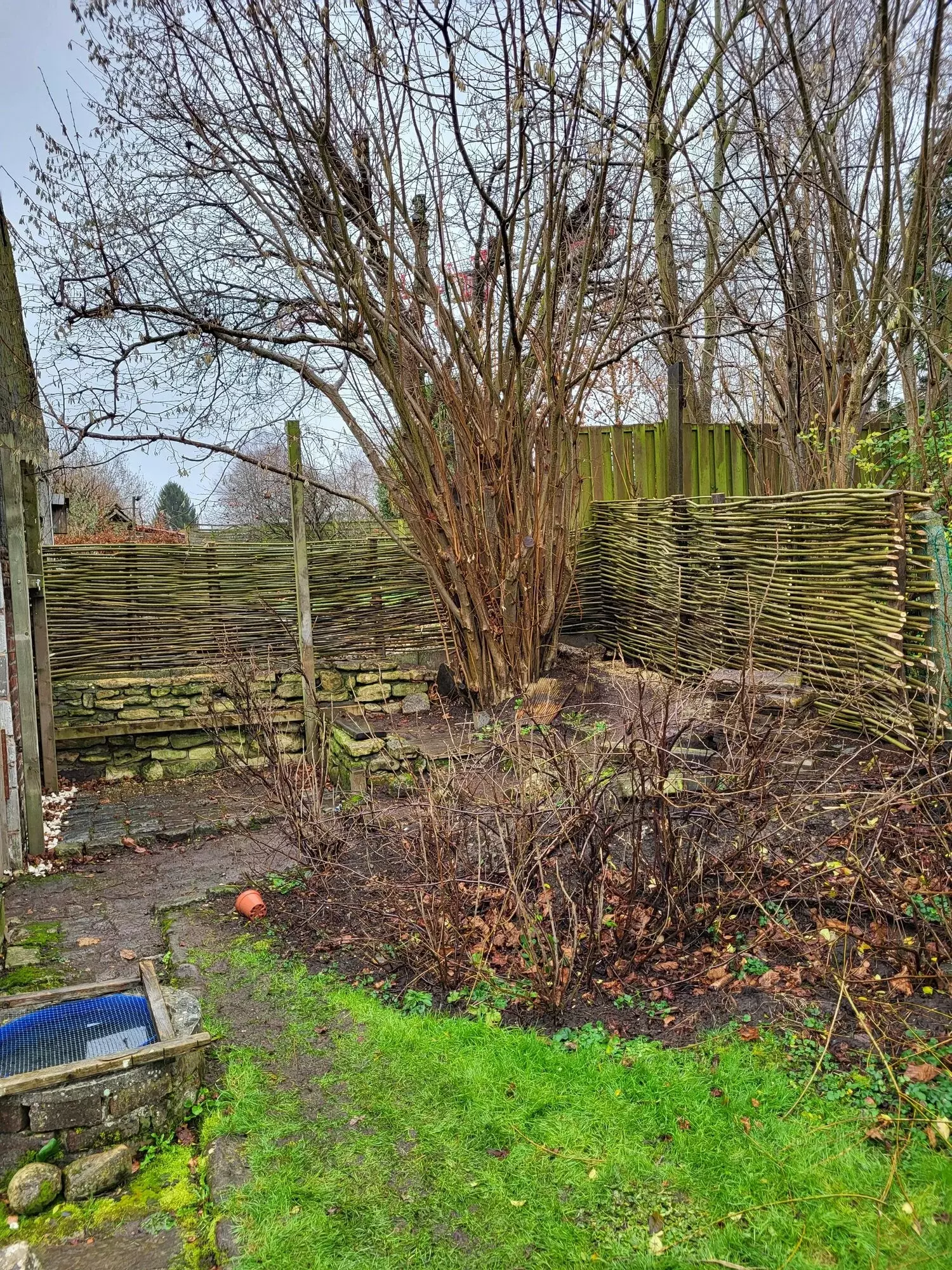 Plaatsen van een wilgenschutting – foto 1
