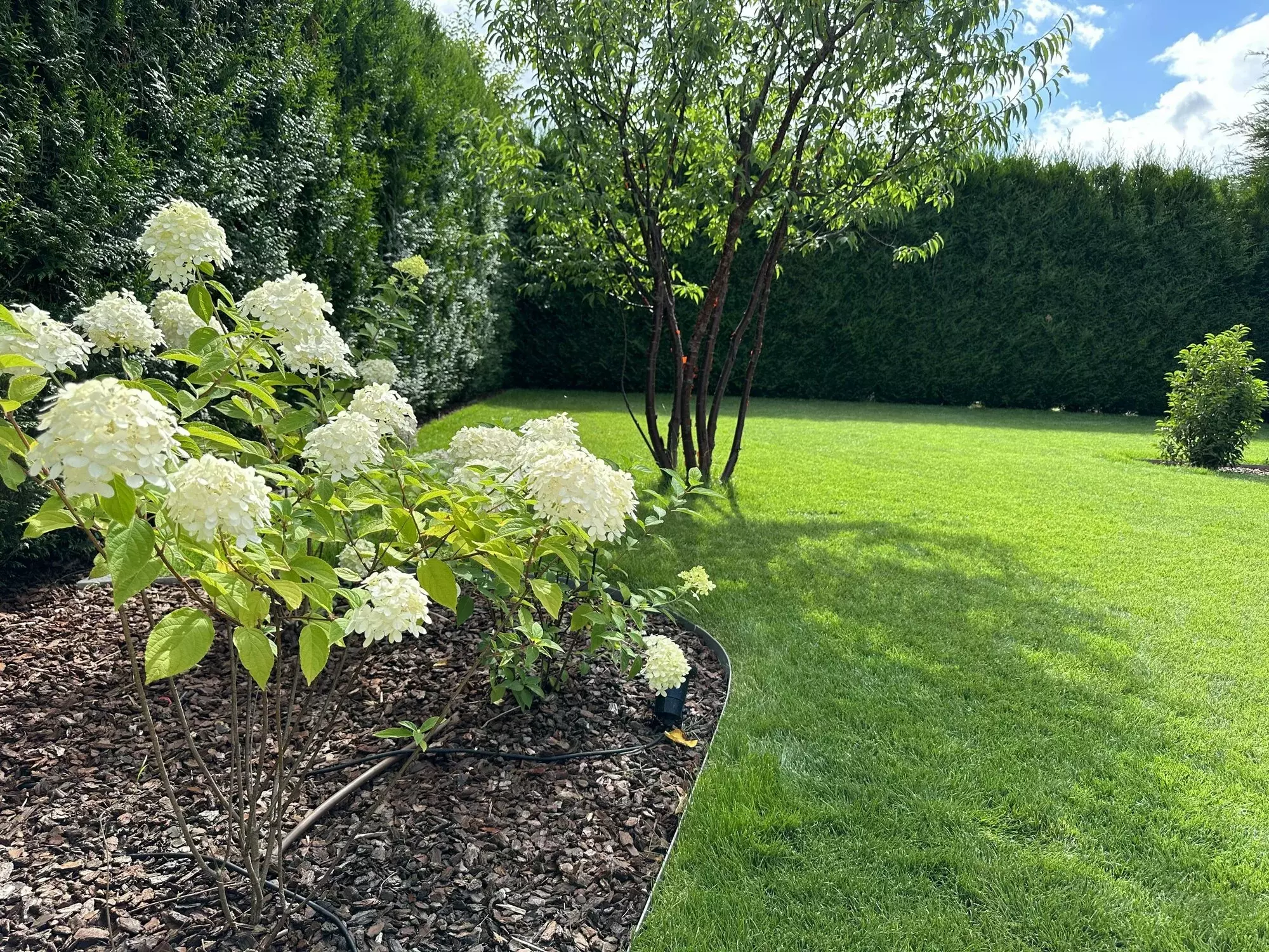 UniekGroen – foto 2