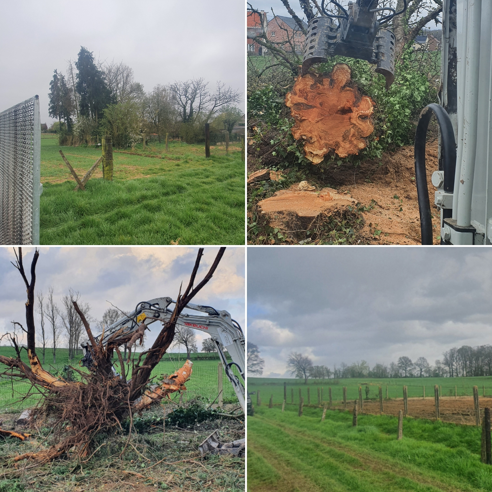 Leegmaken tuin verwijderen van bomen hagen struiken – foto 3