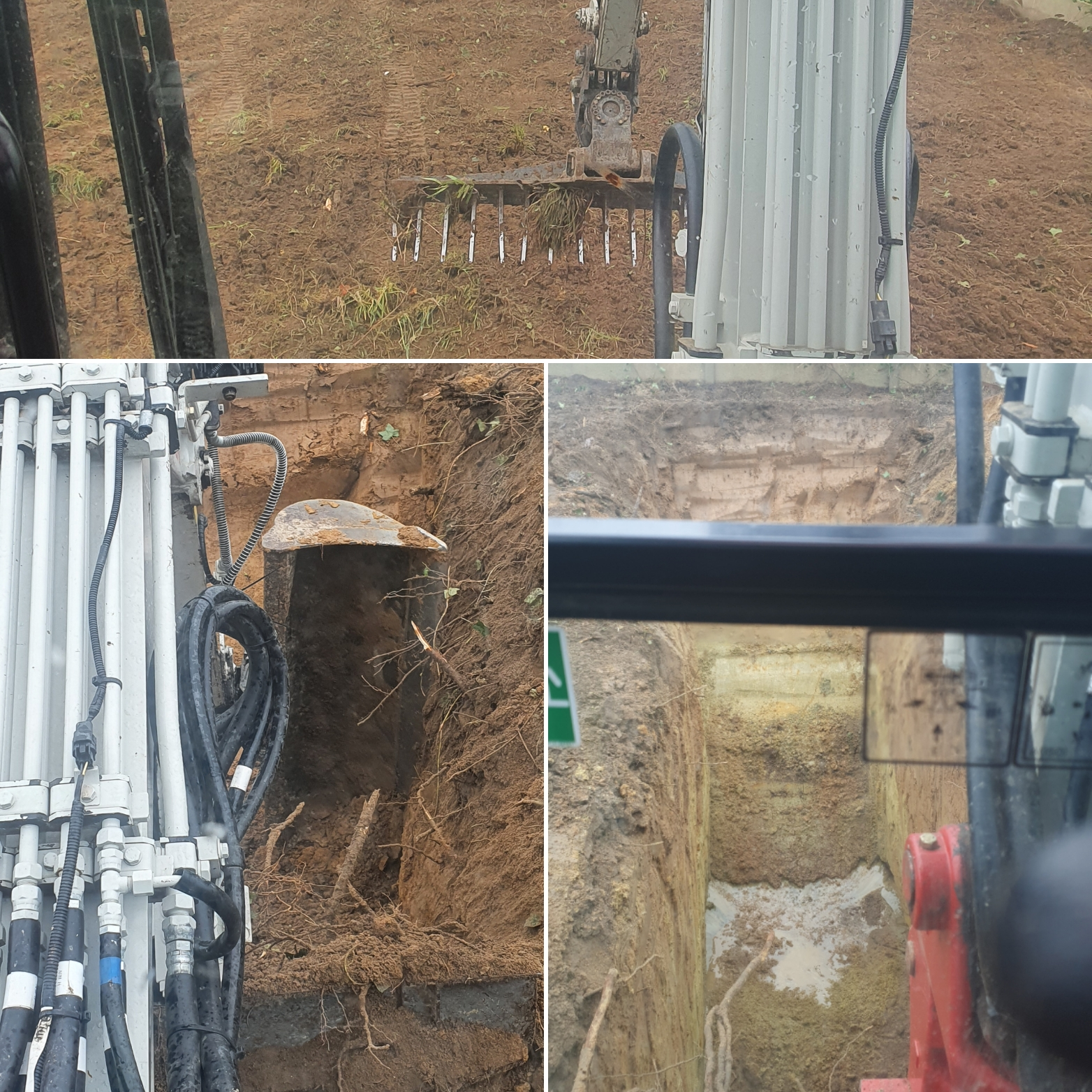 Leegmaken tuin verwijderen van bomen hagen struiken – foto 5