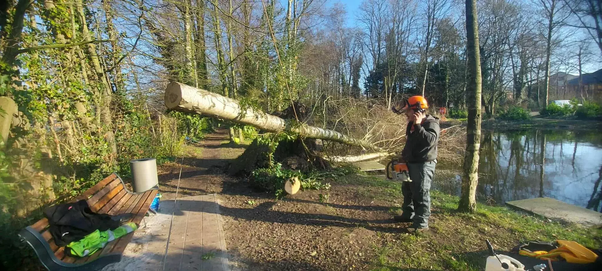 Opruimen van stormschade, gevallen boom in een visvijver – foto 1