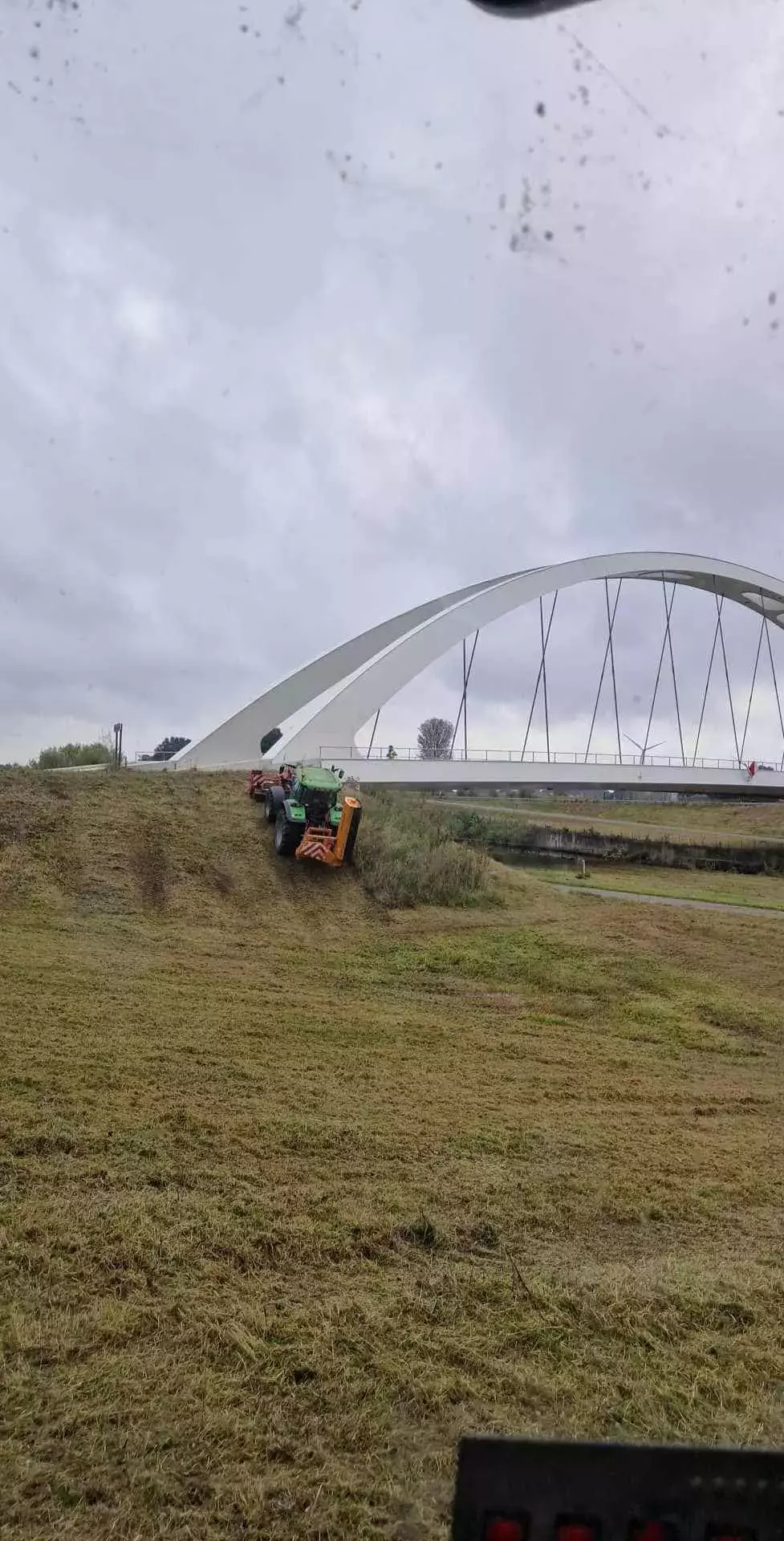 Opruimen van stormschade, gevallen boom in een visvijver – foto 5