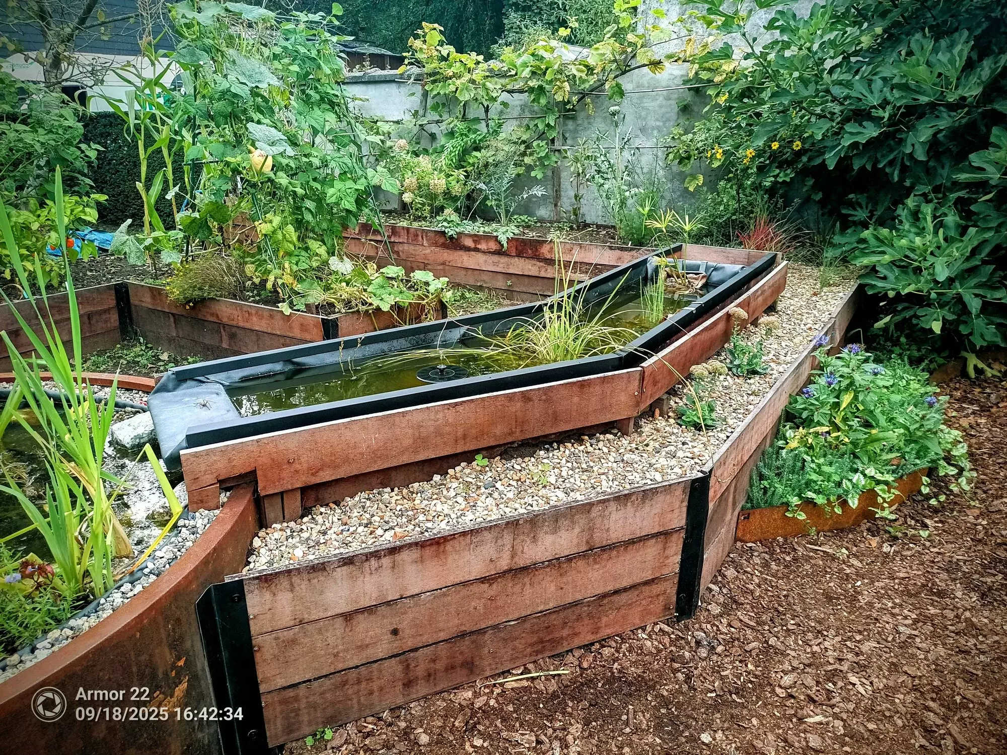 Plantvak met helende planten voor thee – foto 5