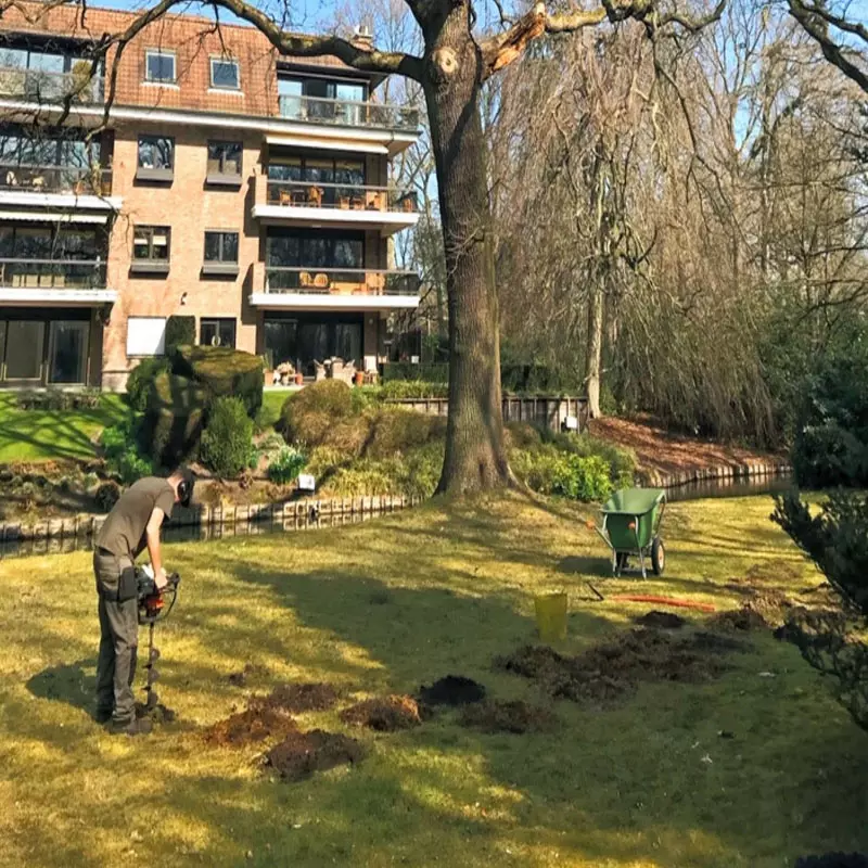 Standplaatsverbetering zomereik – foto 1