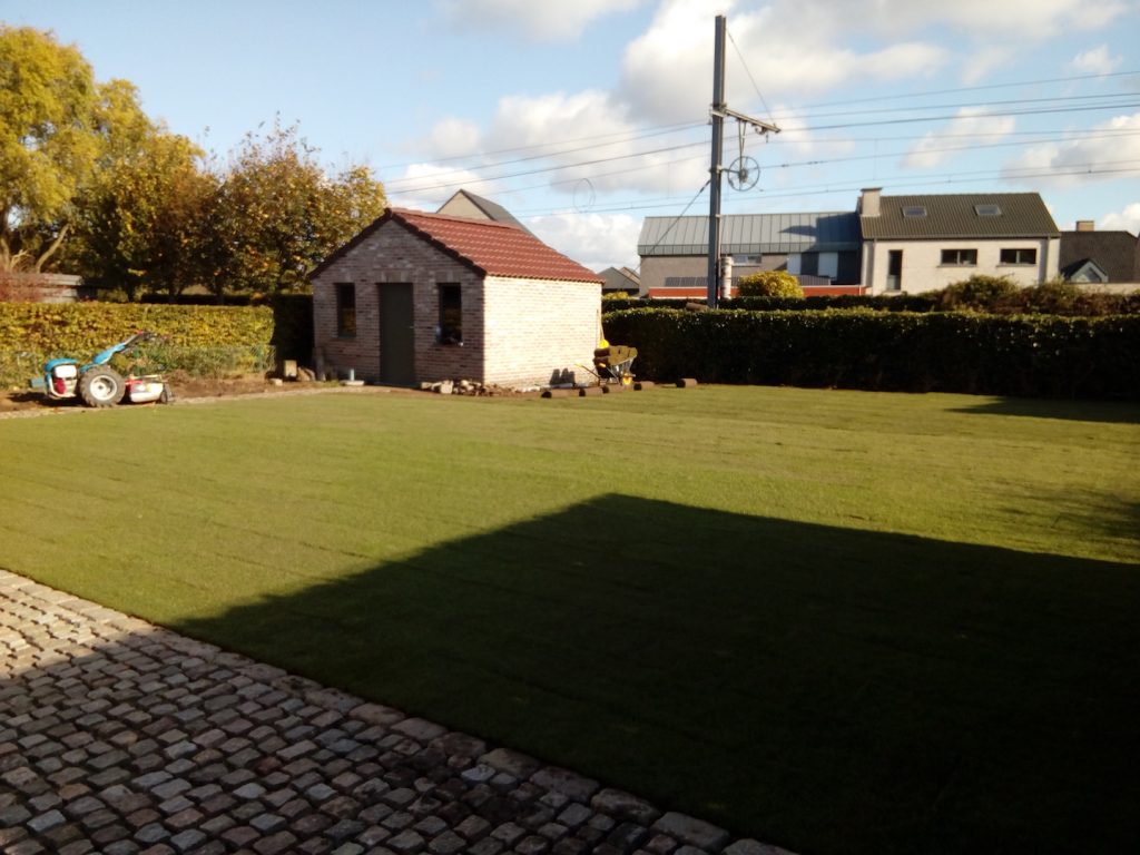 Project Imelda1 totaalproject tuinaanleg gazon Blaasveld Willebroek