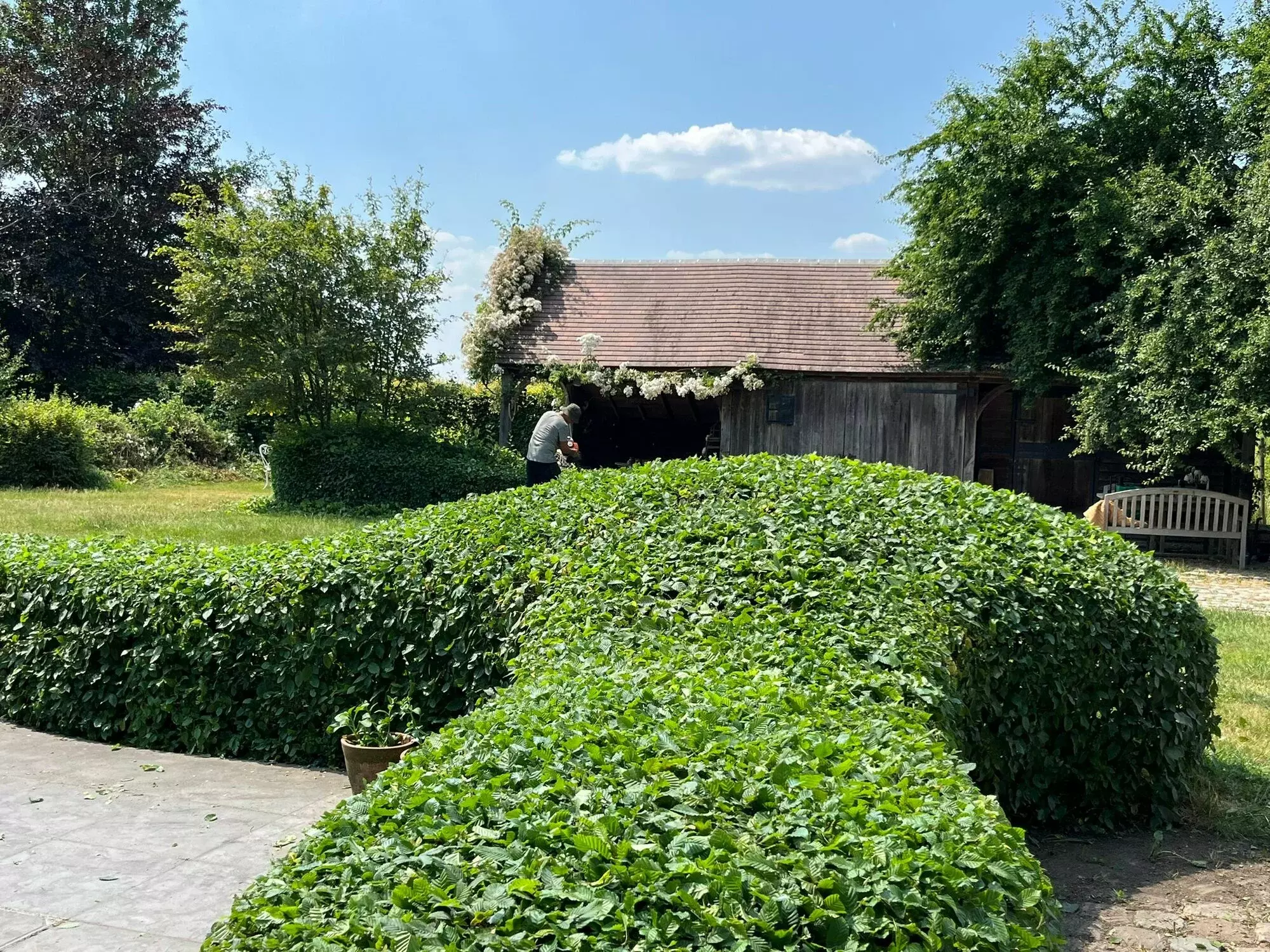 Tuinwerken Gert – foto 3