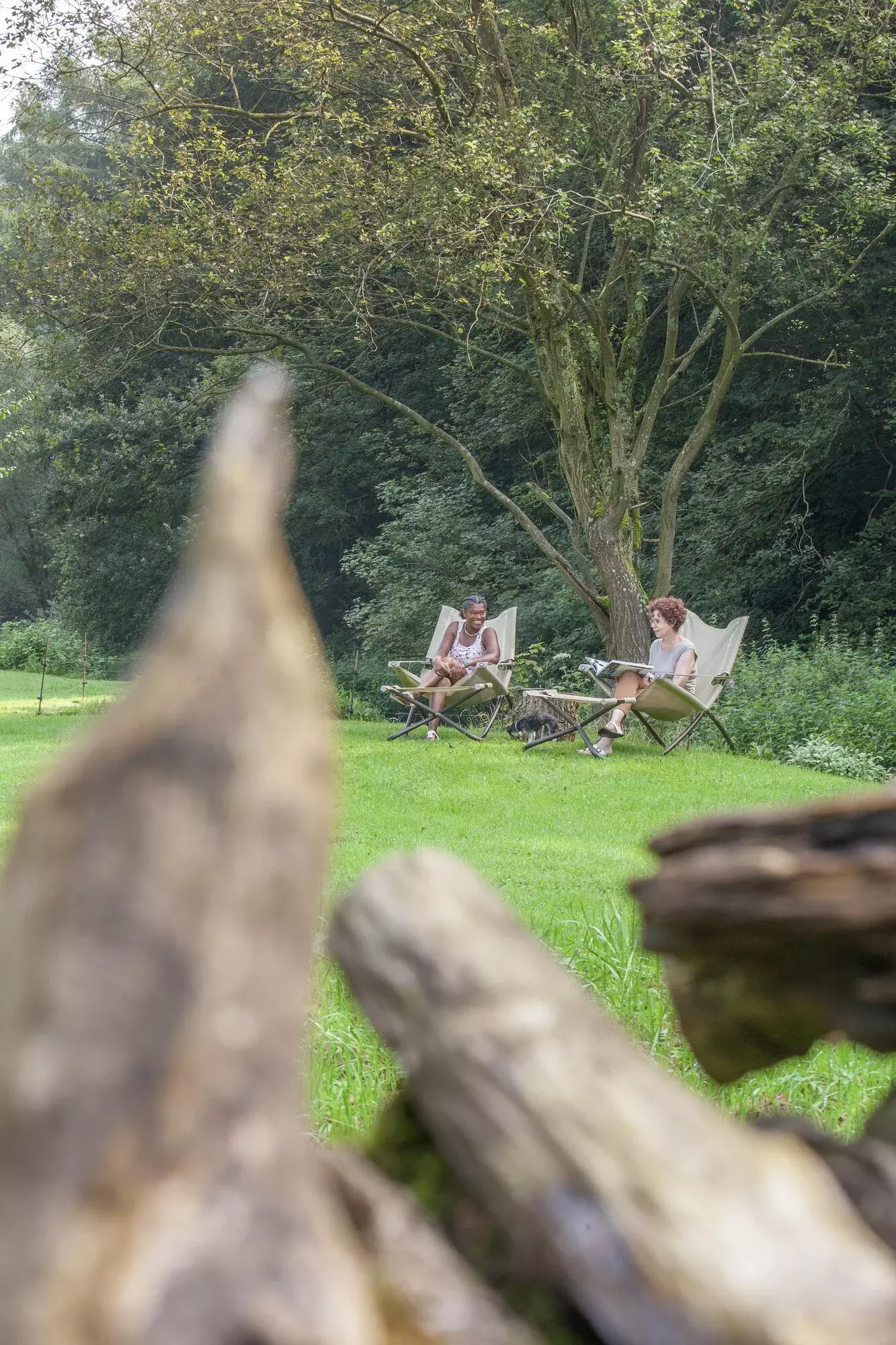 Glooiende parktuin – foto 5