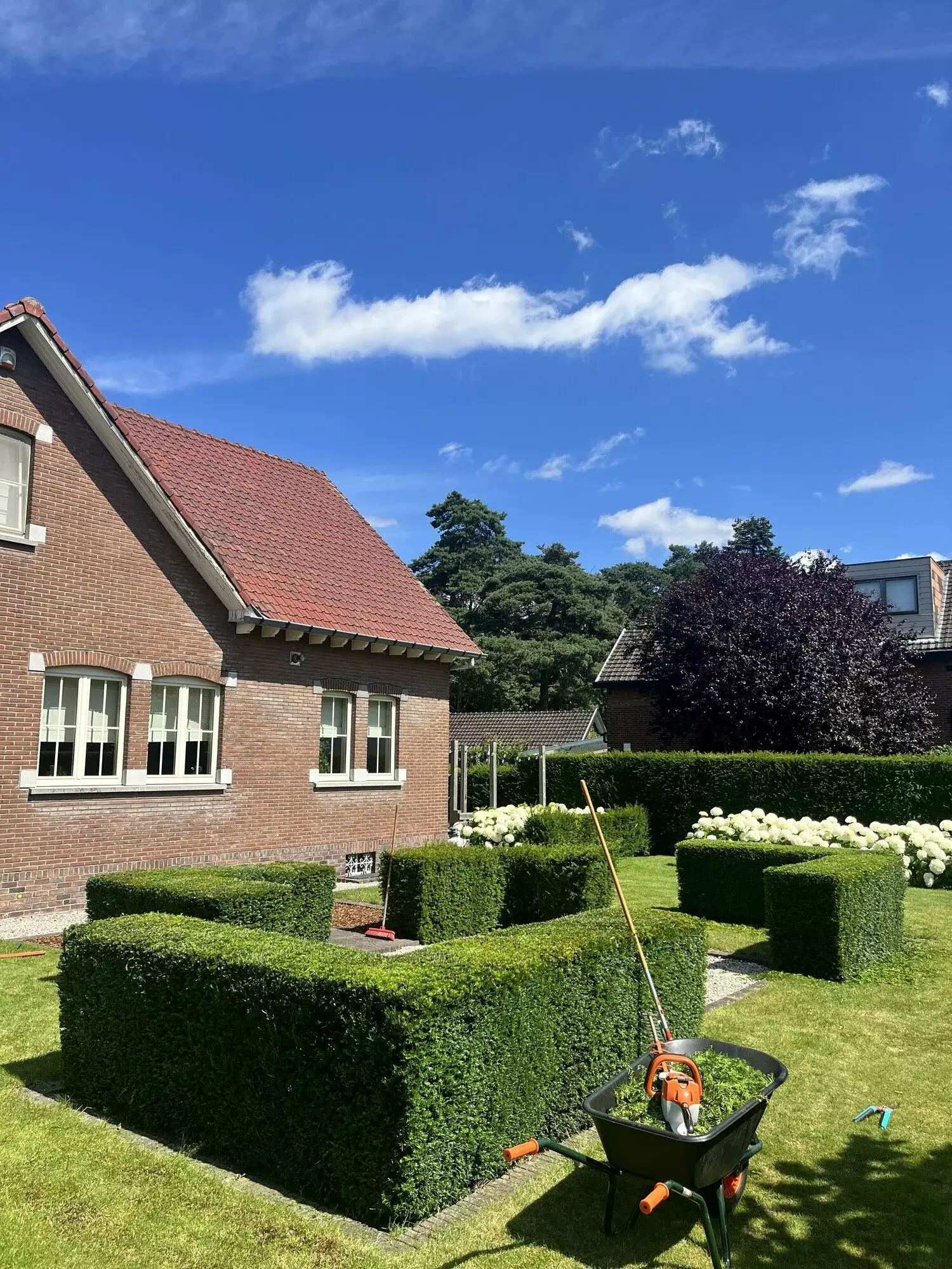 Realisatie Tuinen Hooy 1 – foto 2