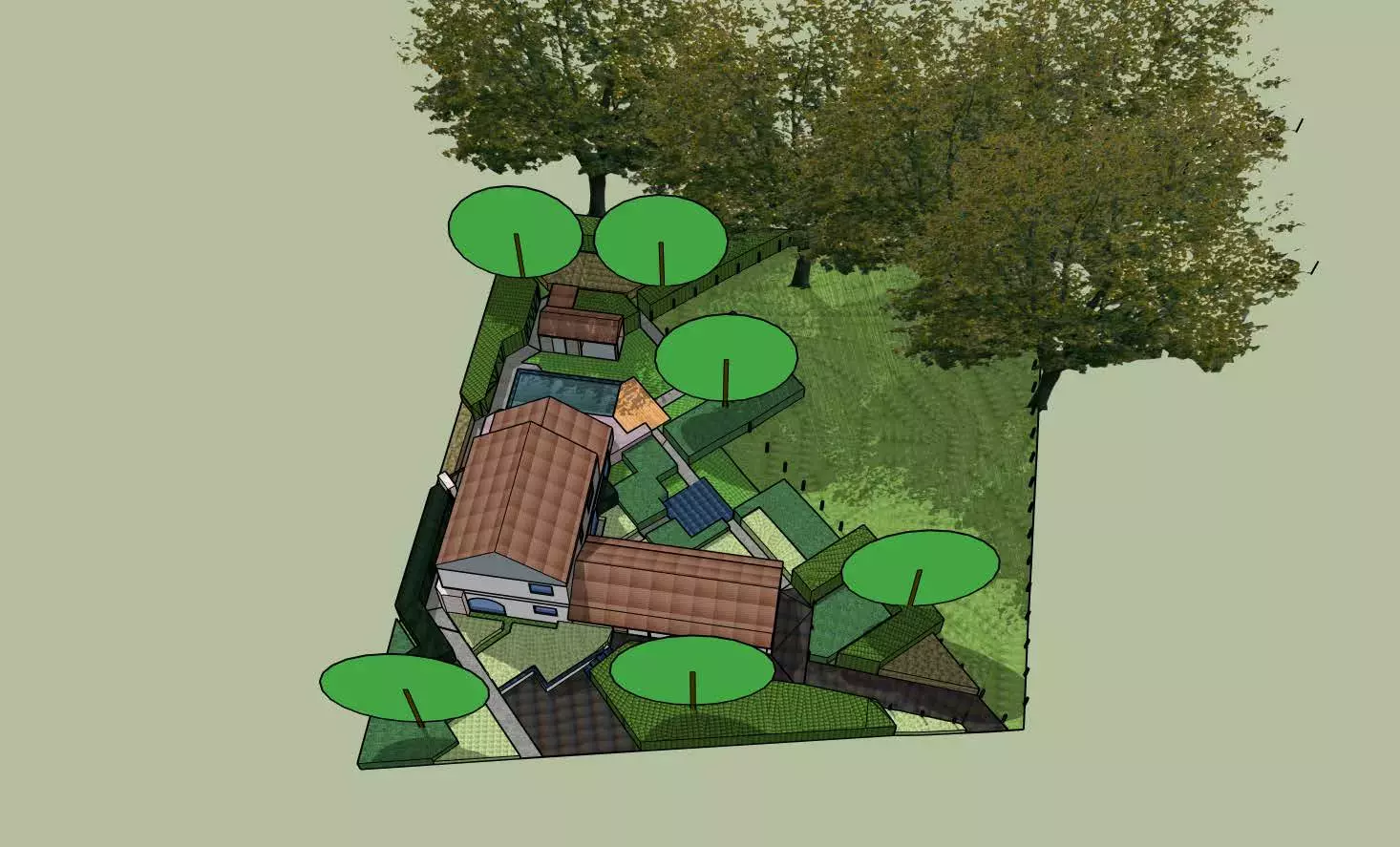 Een saai gazon tover ik om tot een bloemrijk grasveld met voorjaarsbollen. – foto 4