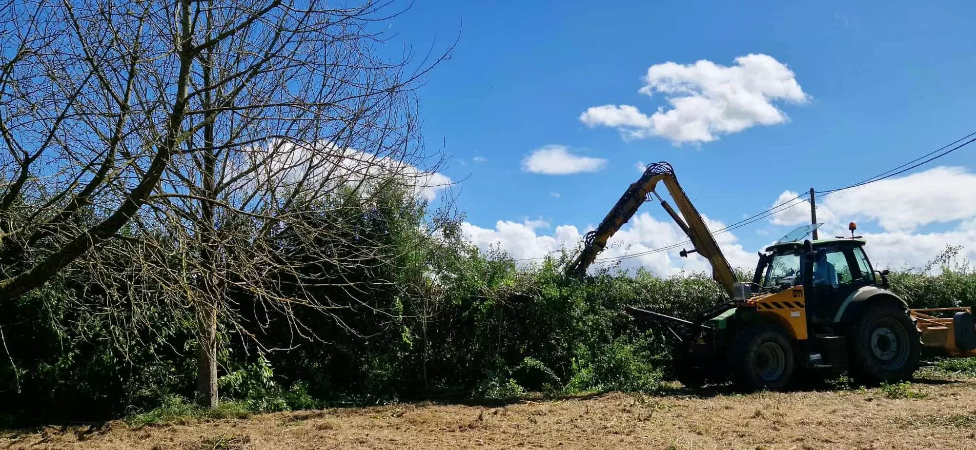 Verwilderde haag met tractor en haagschaar op arm terug in vorm zetten – foto 1