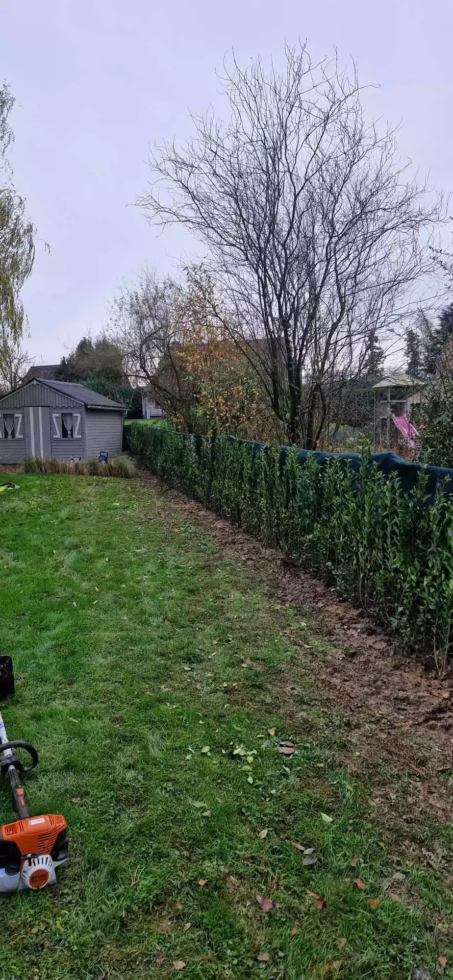 Verwilderde haag met tractor en haagschaar op arm terug in vorm zetten – foto 4