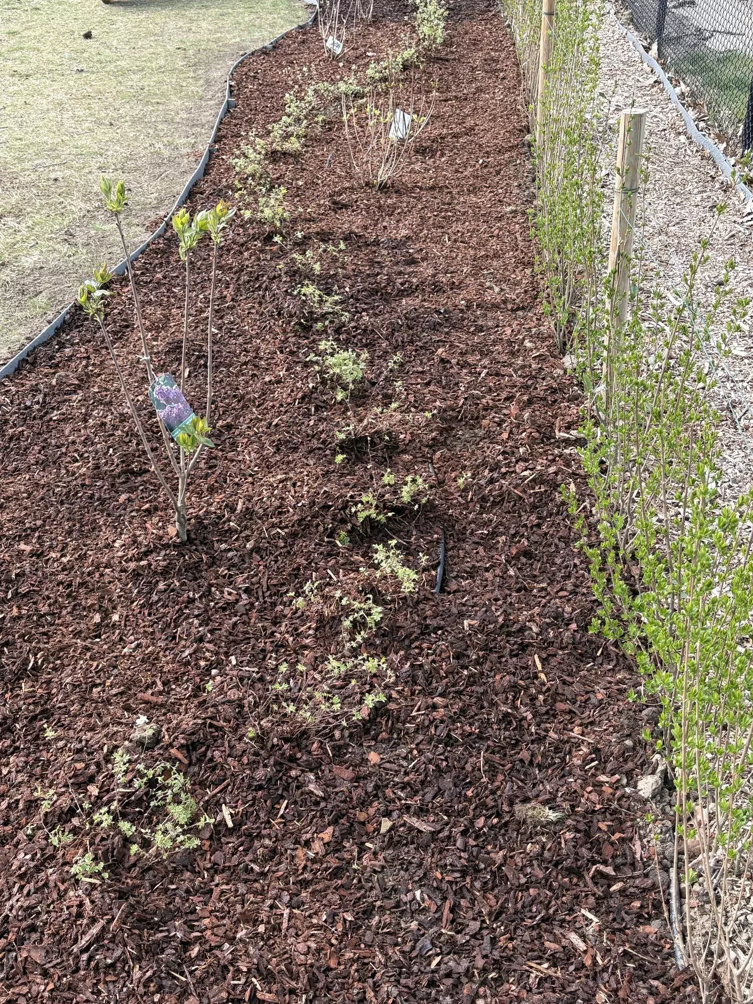 Ecolat border – foto 1