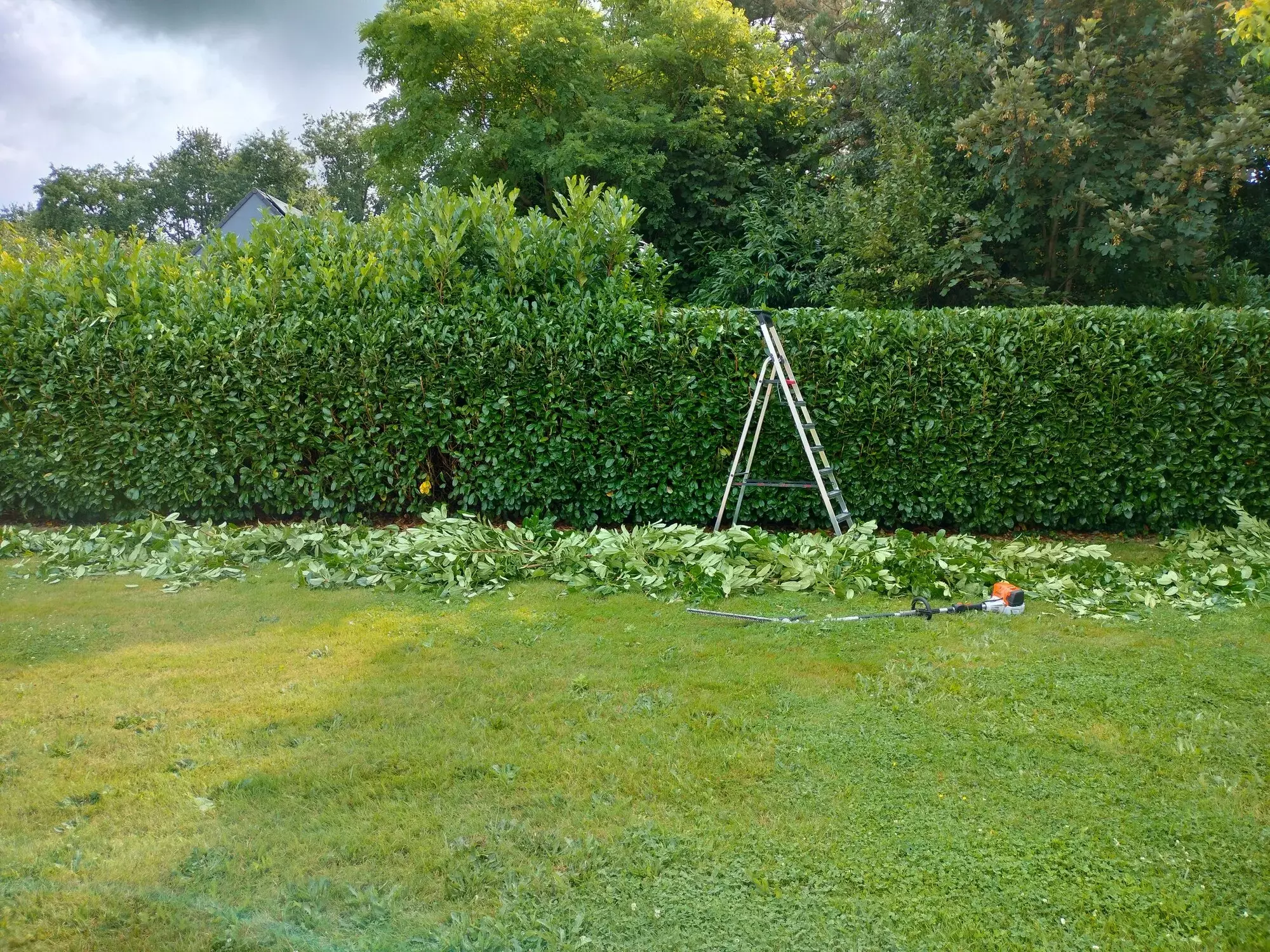 Snoeiwerken – foto 1