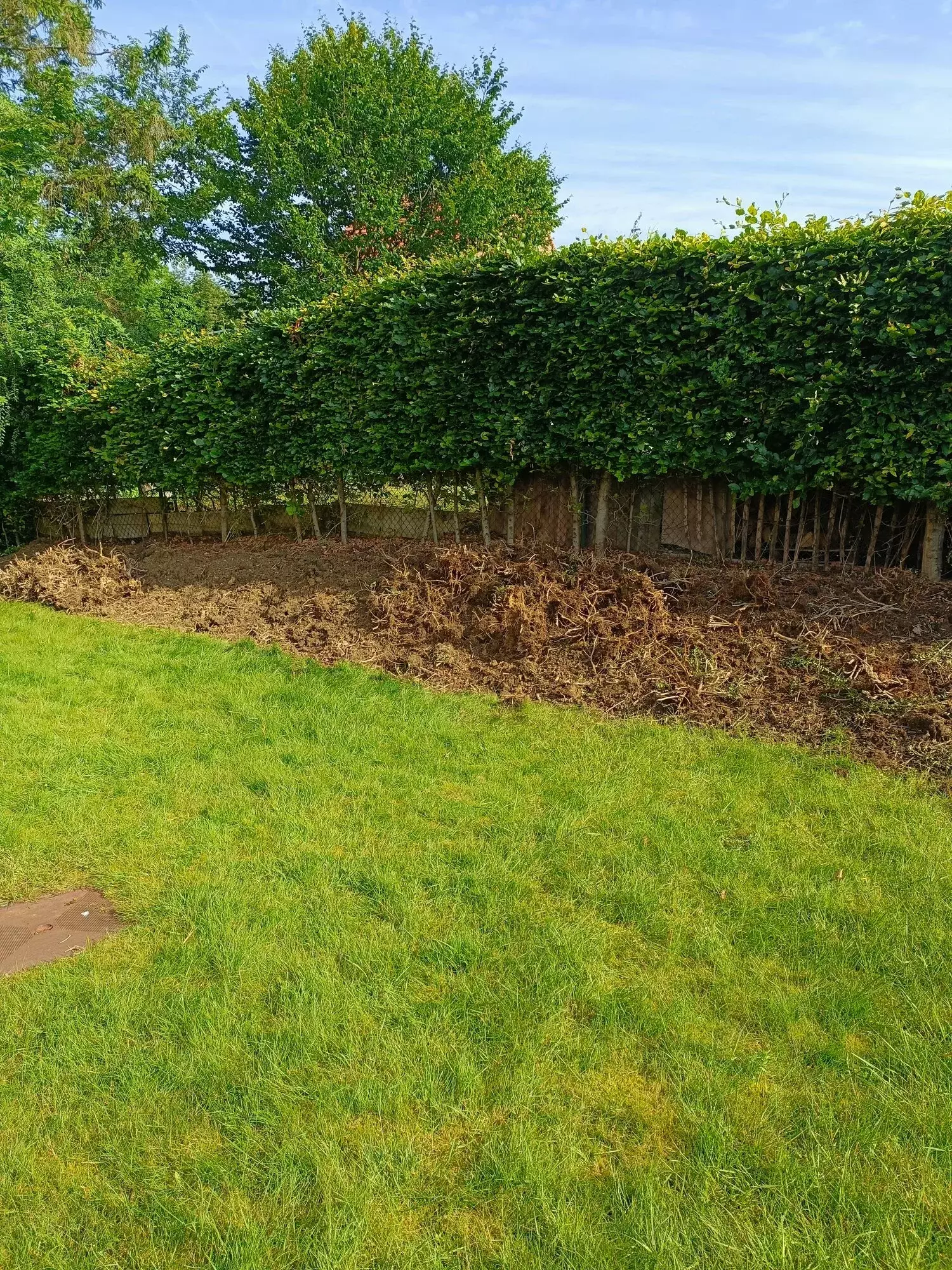 Verwijderen haag en ophogen plantenborder – foto 1