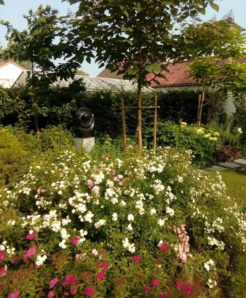 Bomen in stadstuintje – foto 4