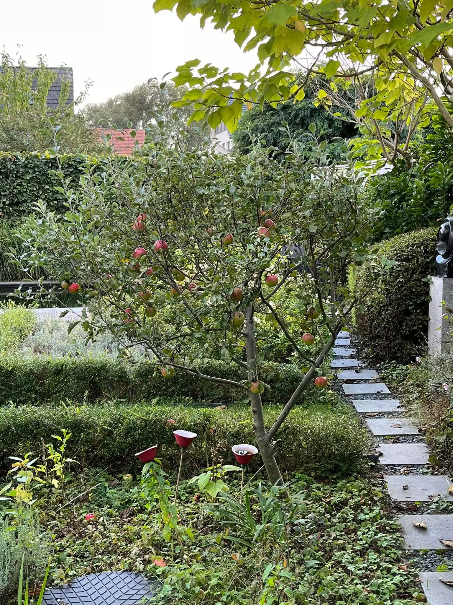 Ontwerp en aanleg voortuin – foto 4