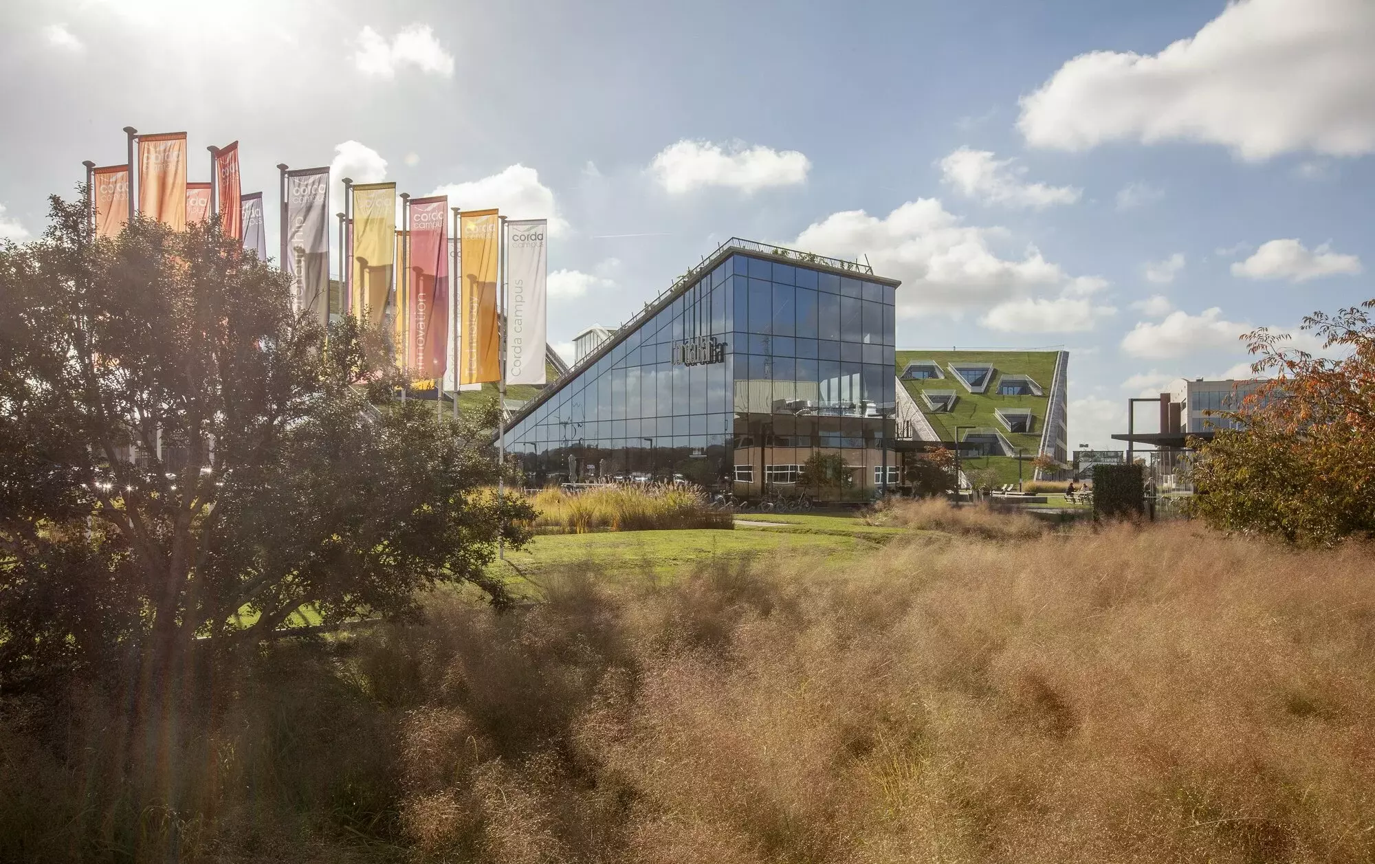 Bedrijfscampus in het groen – foto 1