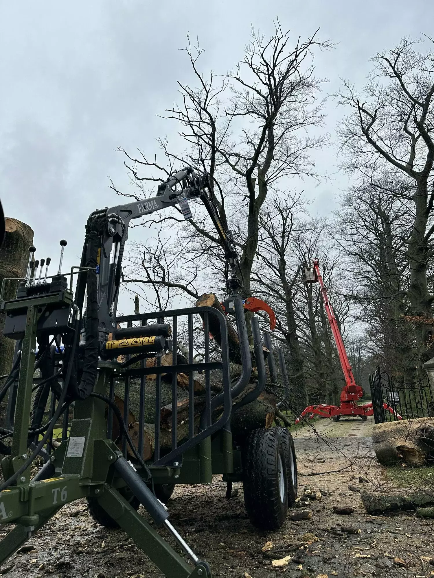 Vellen van bomen met opruim en afvoer hout. – foto 1