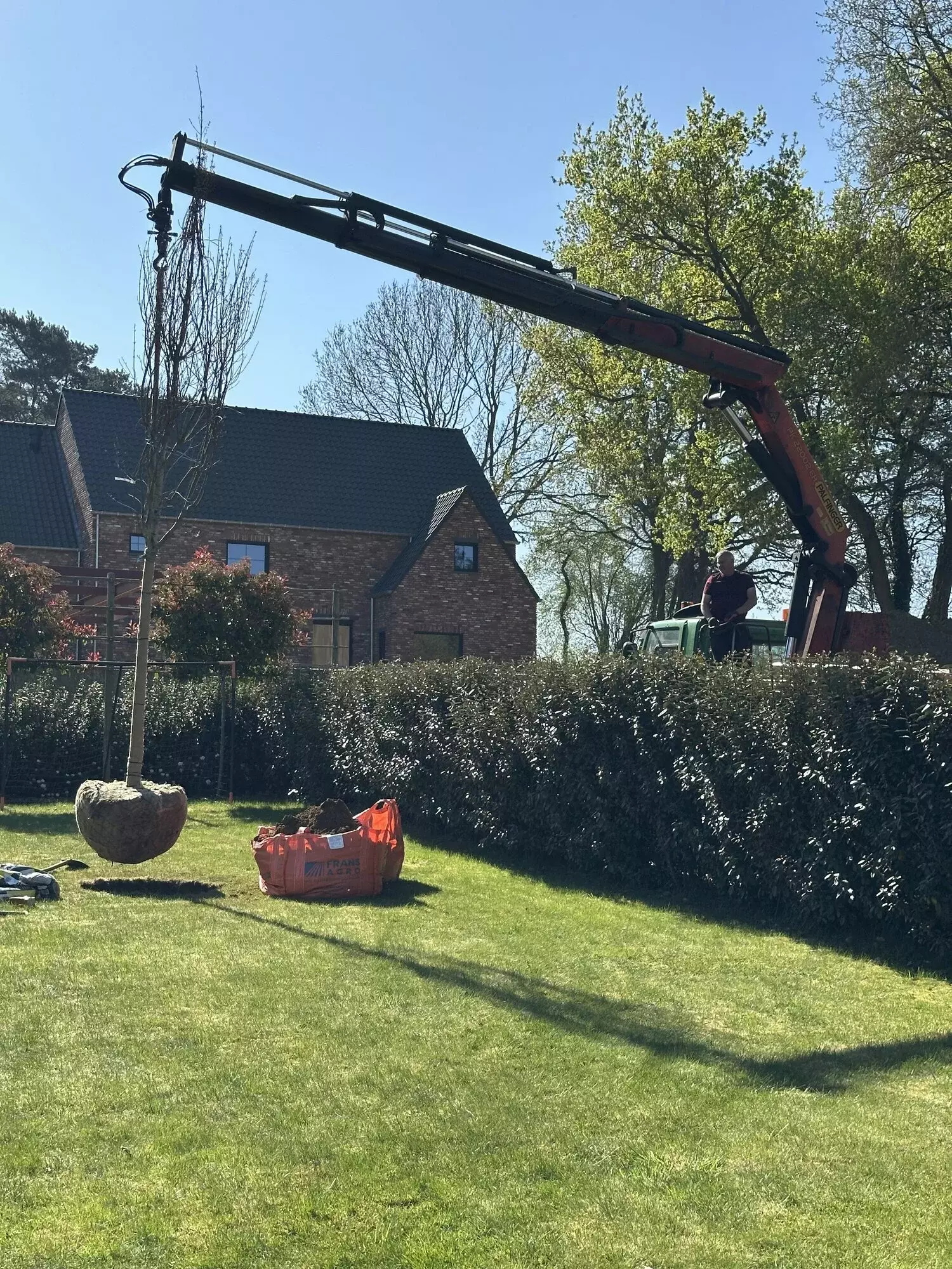 Vellen van bomen met opruim en afvoer hout. – foto 4
