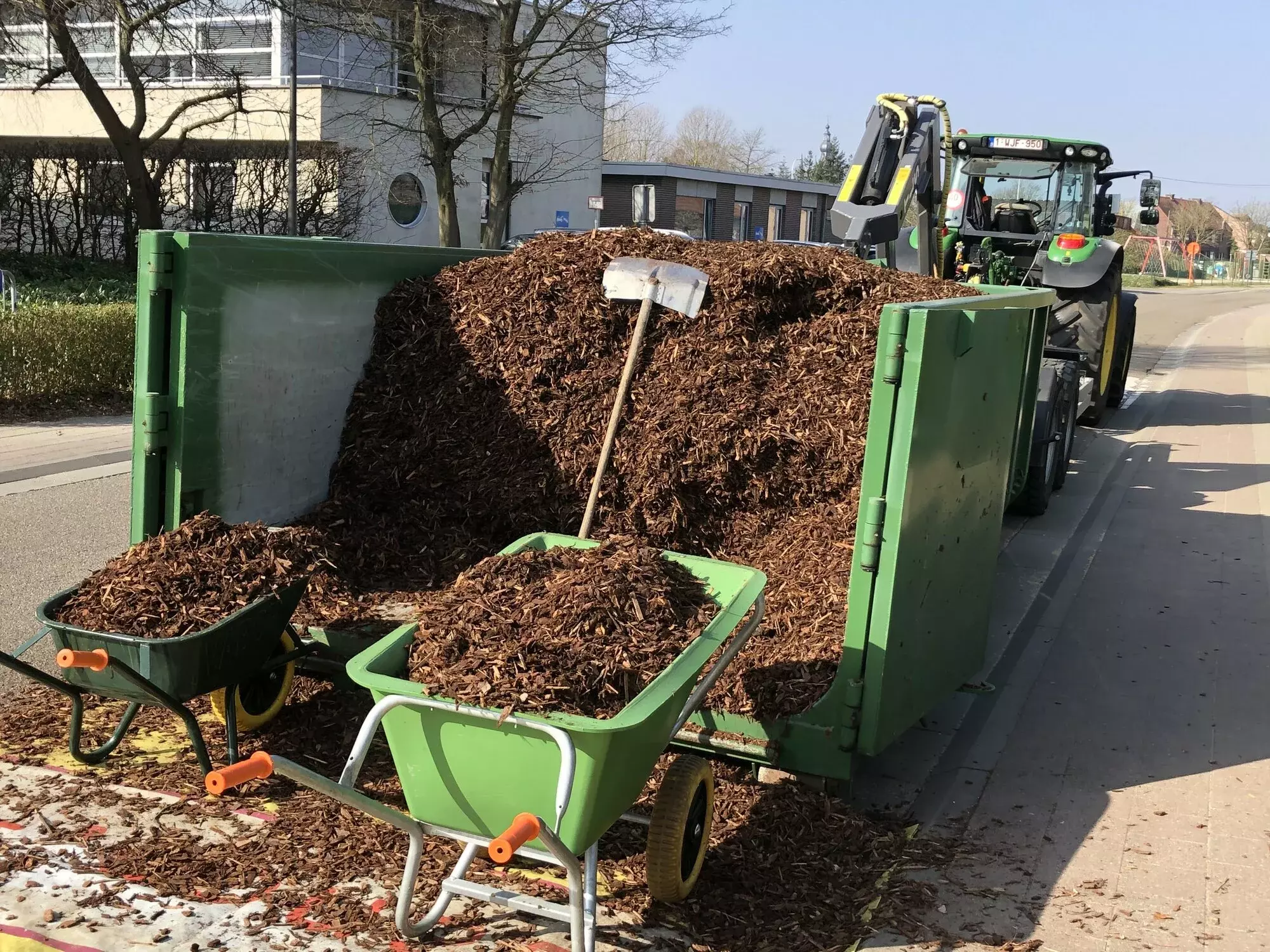 Vellen van bomen met opruim en afvoer hout. – foto 5