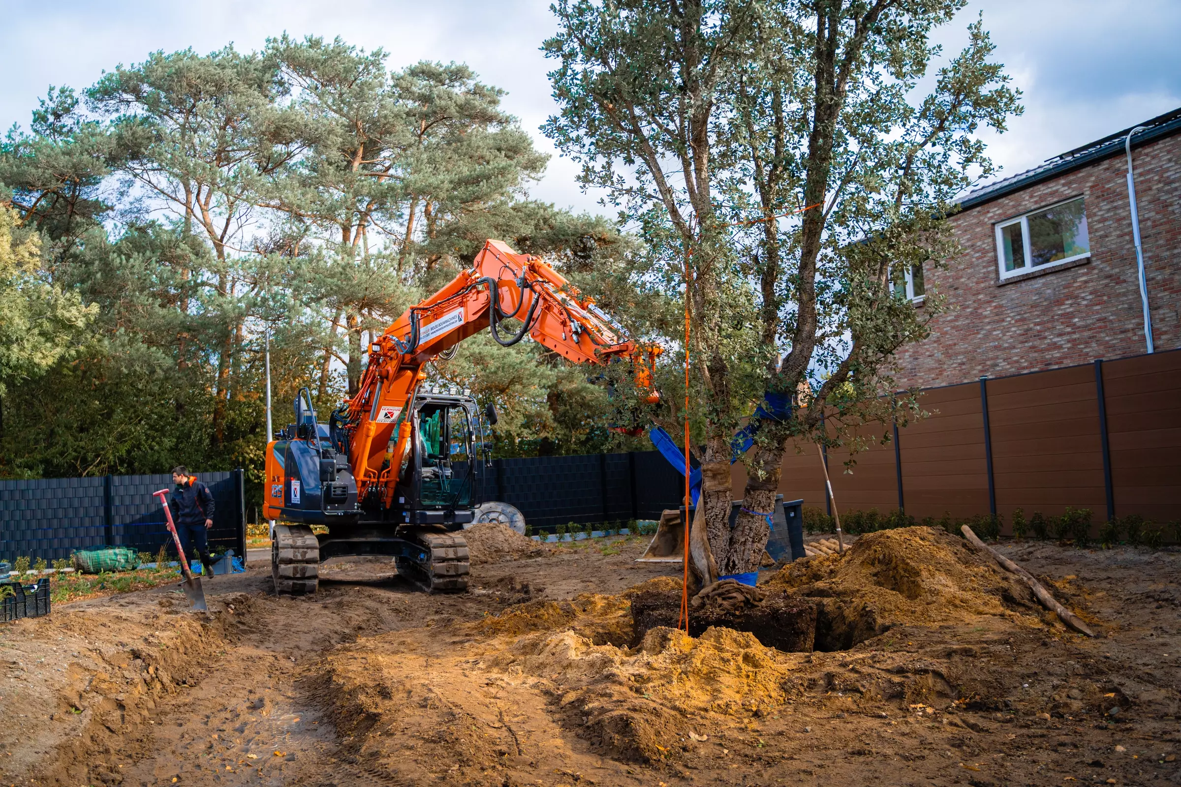 aanplant bomen – foto 1