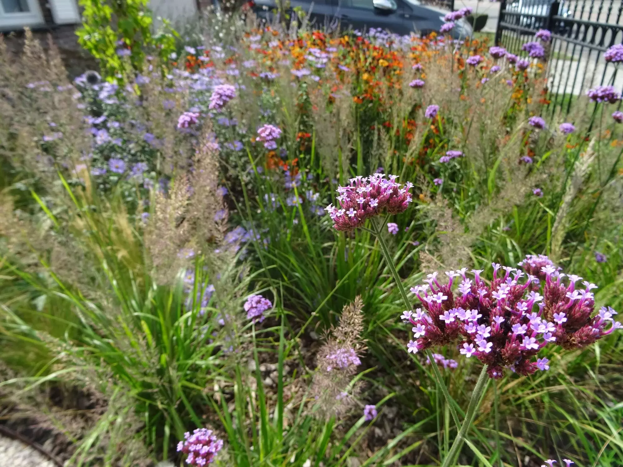 Julian's Garden Design – foto 1