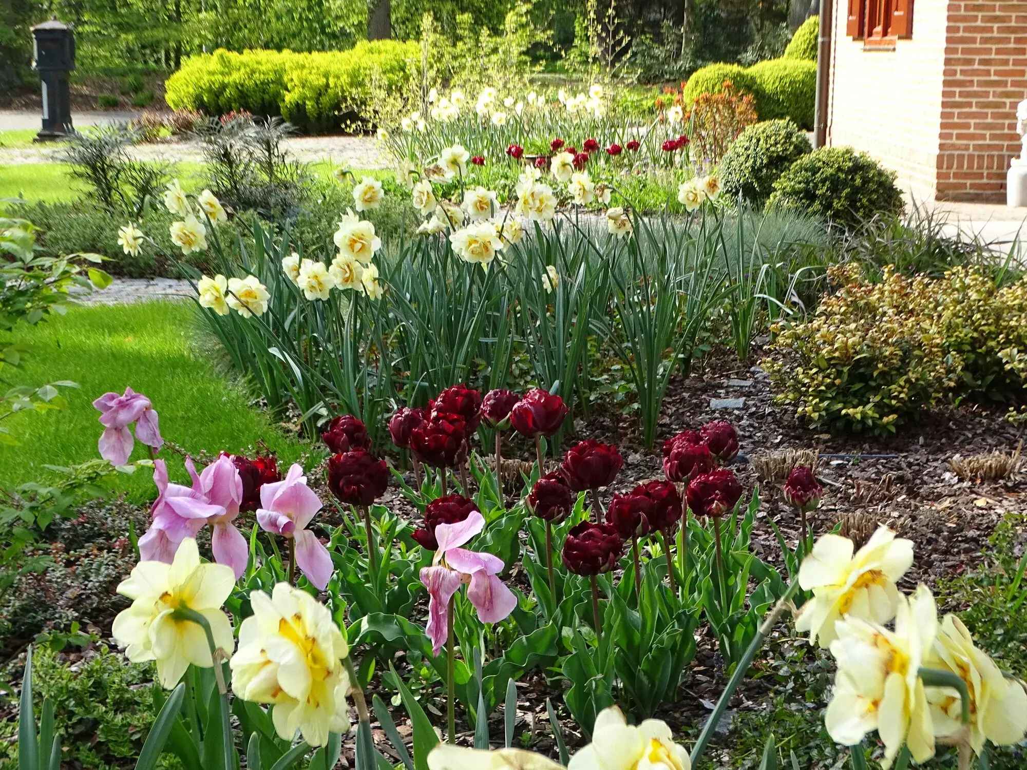 Julian's Garden Design – foto 2