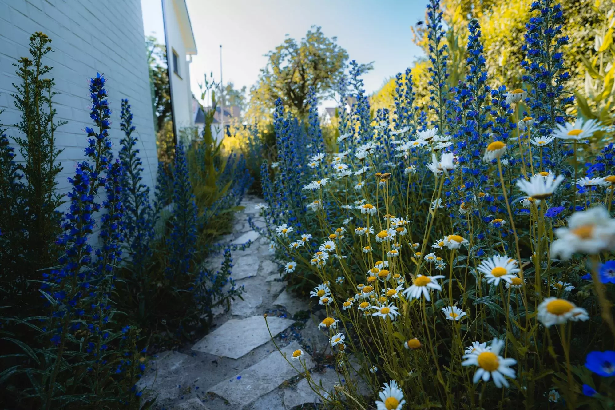 aanleg tuin – foto 4