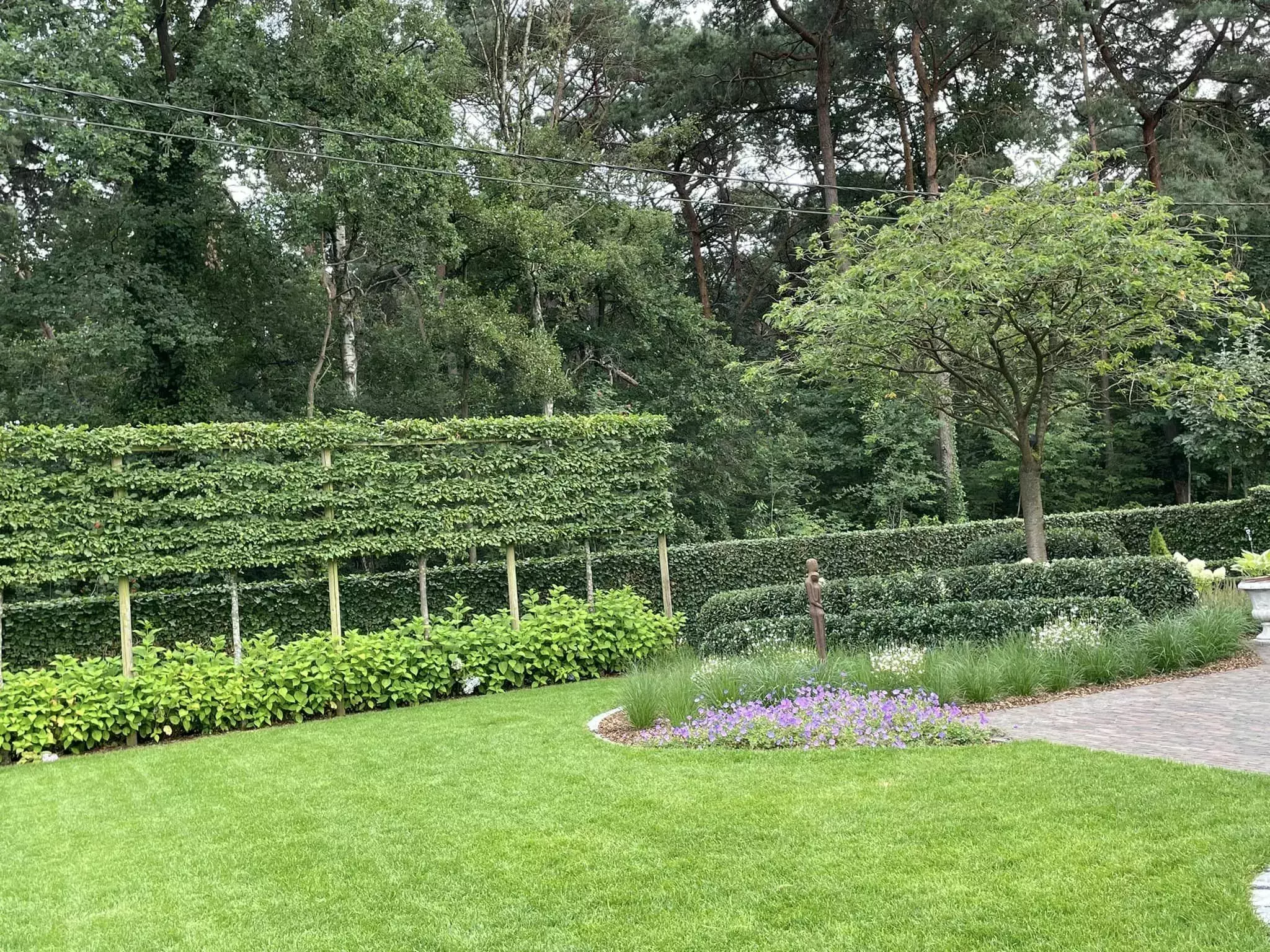 Totaalproject Westerlo bij nieuwbouw – foto 3