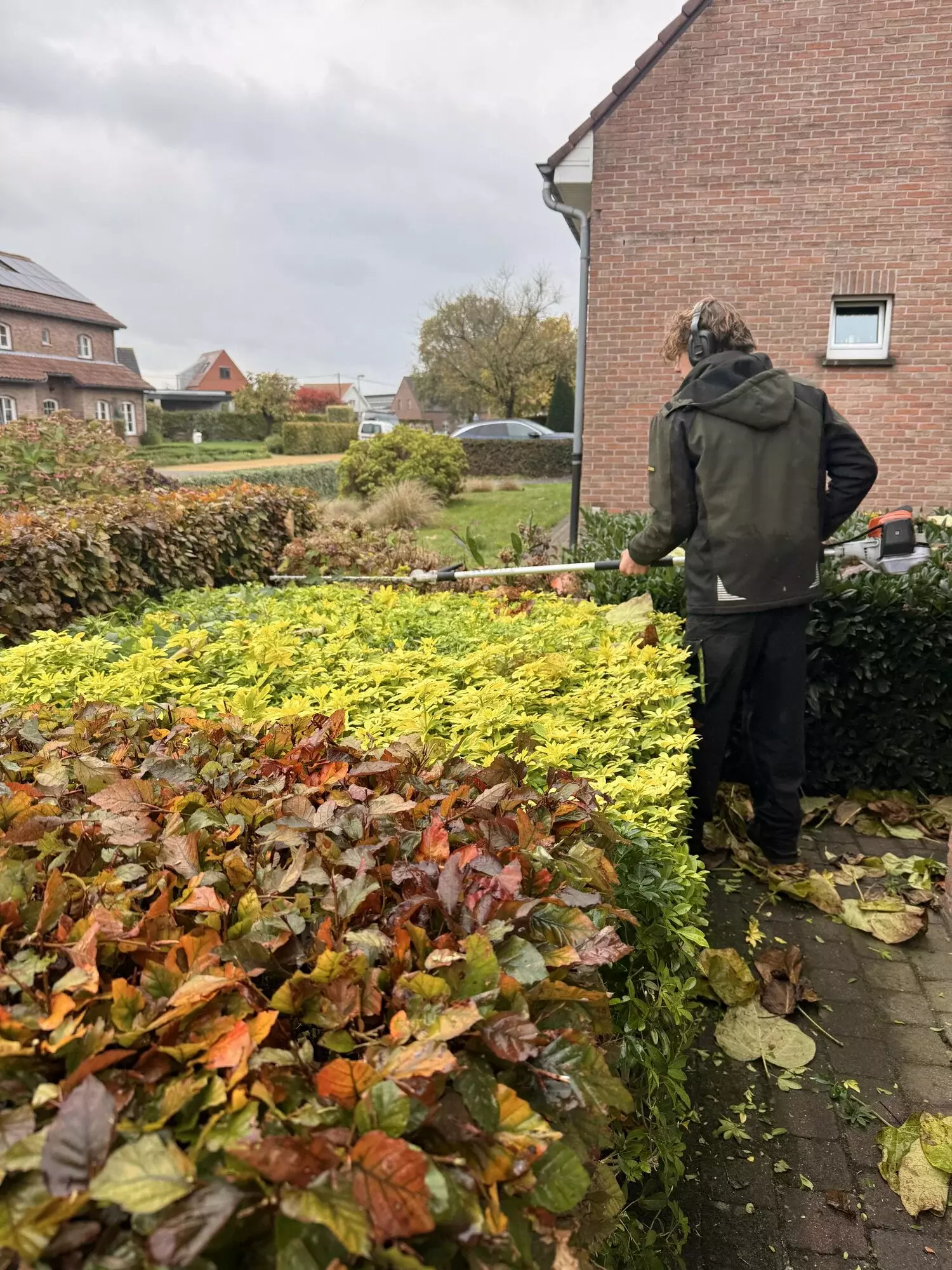Project 1 – foto 1