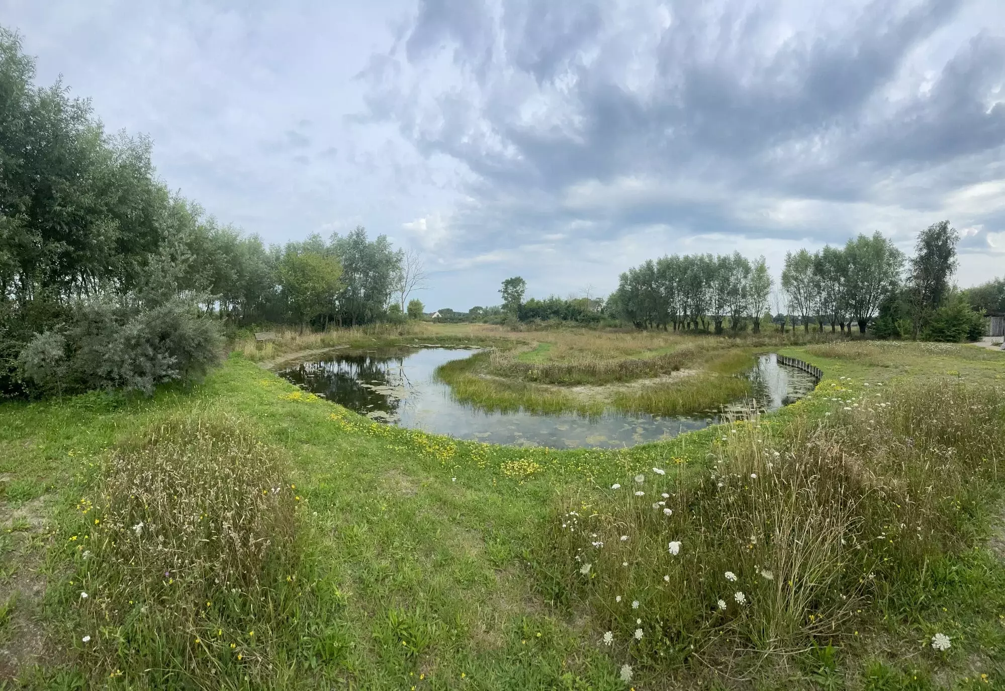 Duurzaam boombeheer langs waterkant door BOOM! in Sint-Andries – foto 2